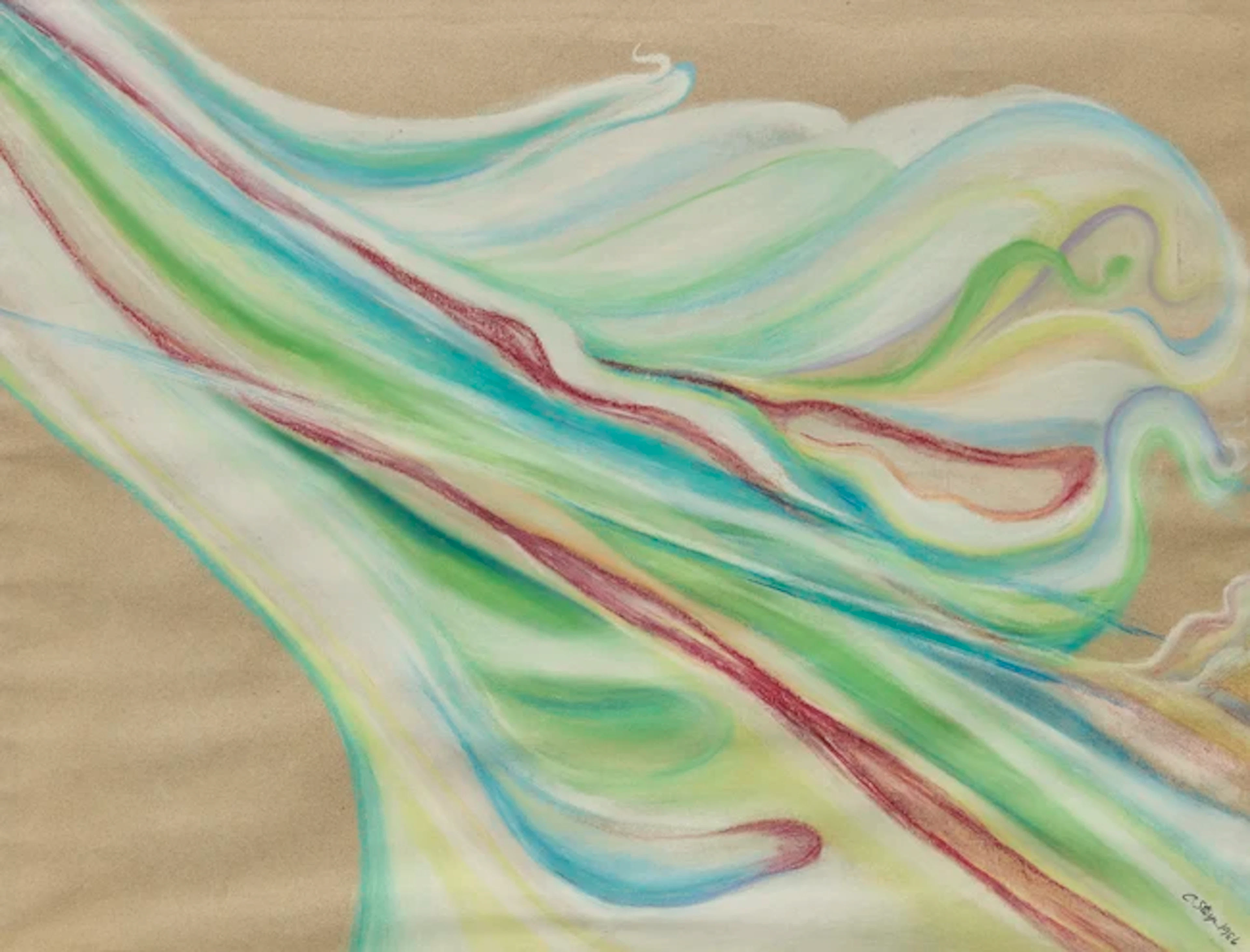 To Be Sold with No Reserve: Carole Steyn