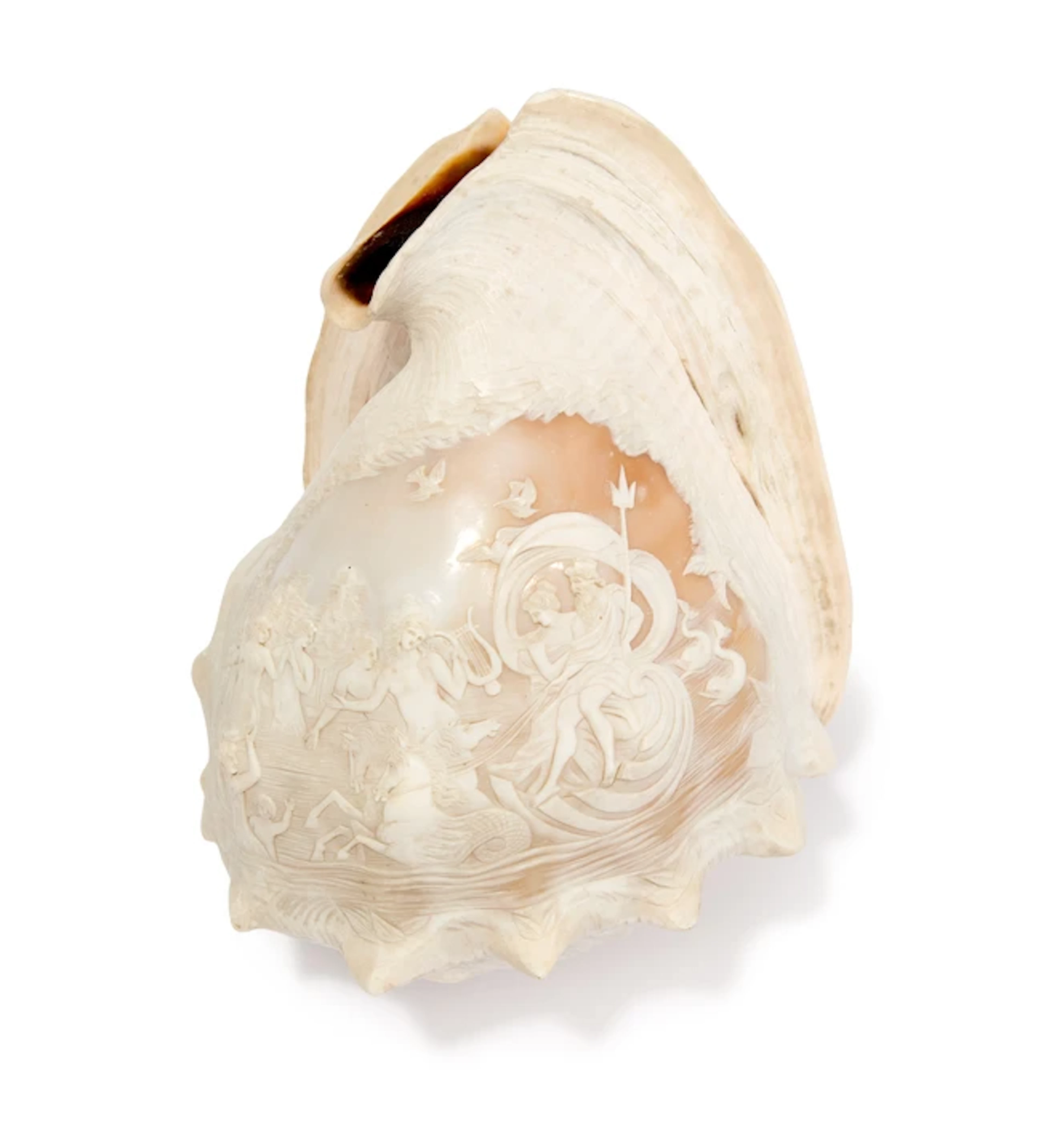An Italian carved conch shell