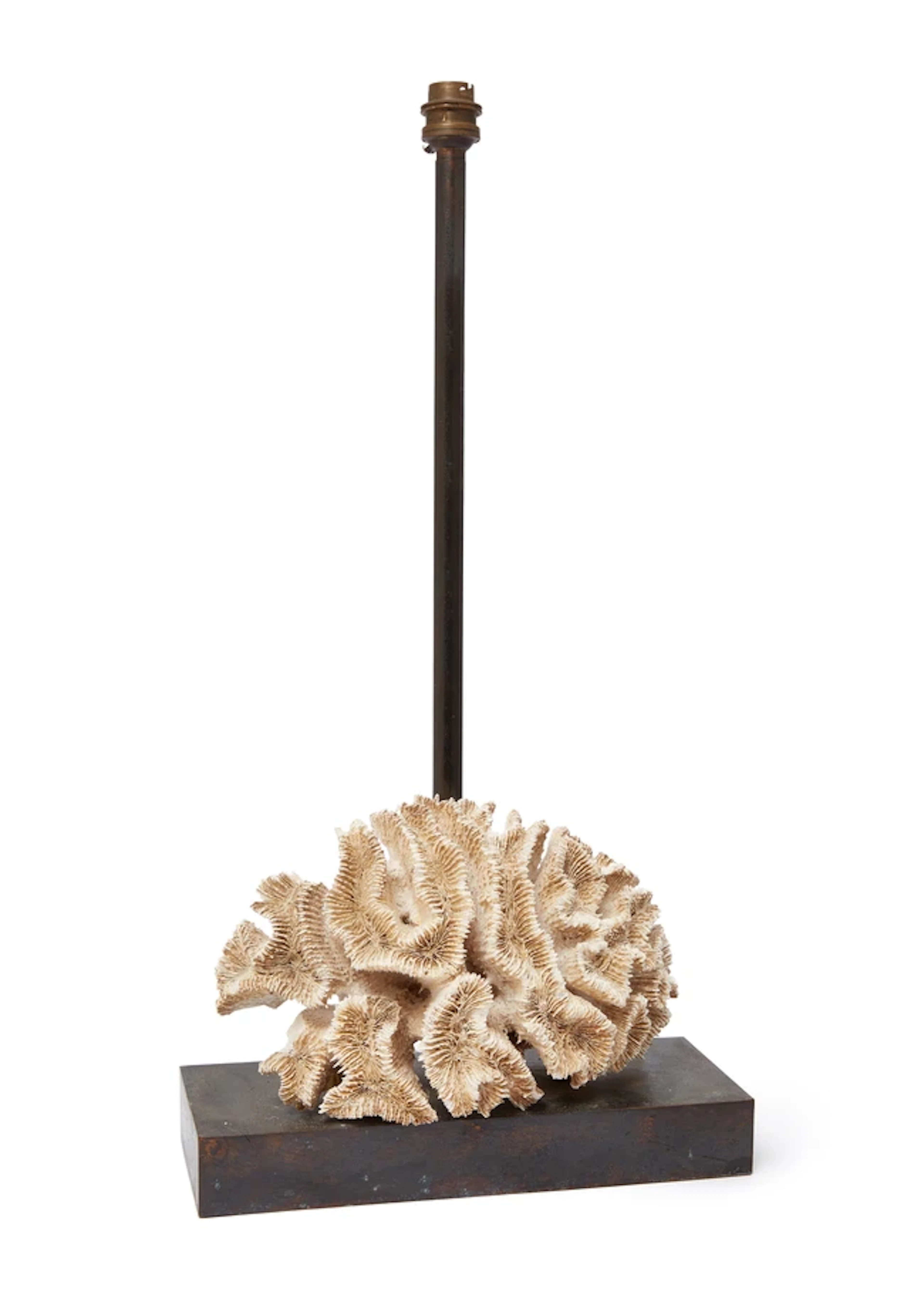 French Coral specimen lamp
