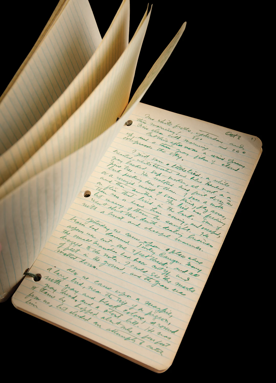 Zane Grey Handwritten Manuscript - Notes from a 1919 Hunting Trip