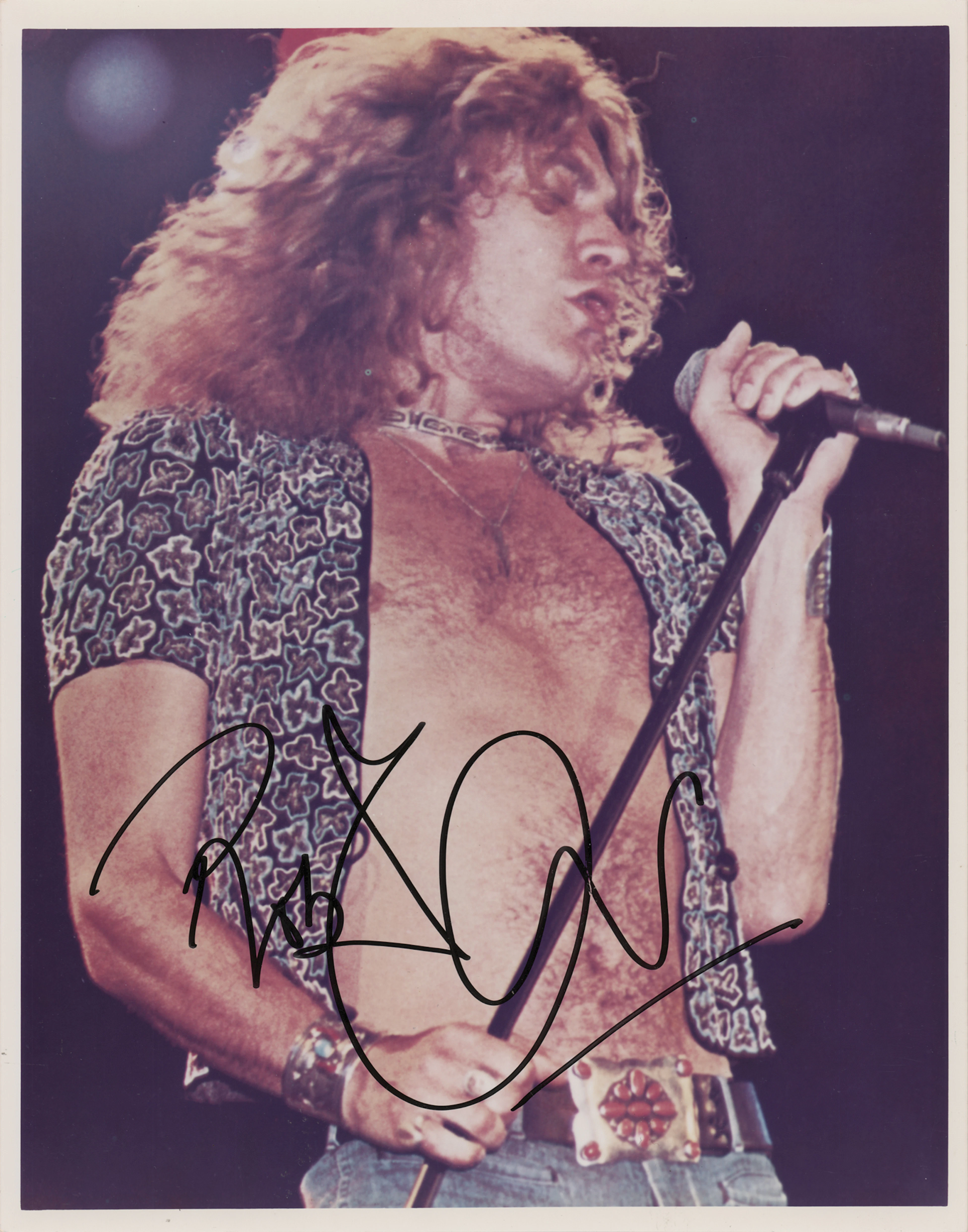 Led Zeppelin: Robert Plant Signed Photograph