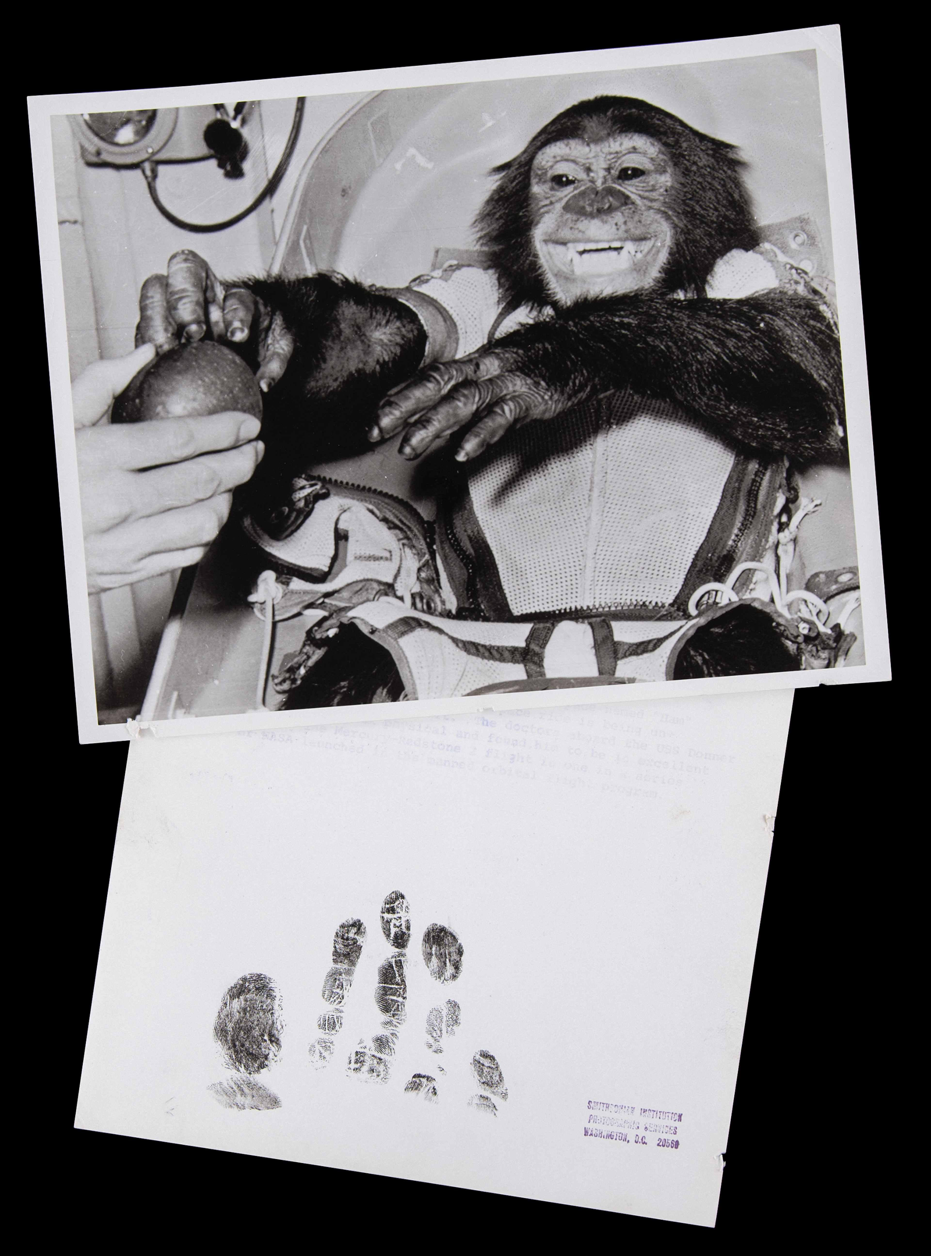 Ham the Chimpanzee (2) NASA Photographs with Ink Hand Impressions