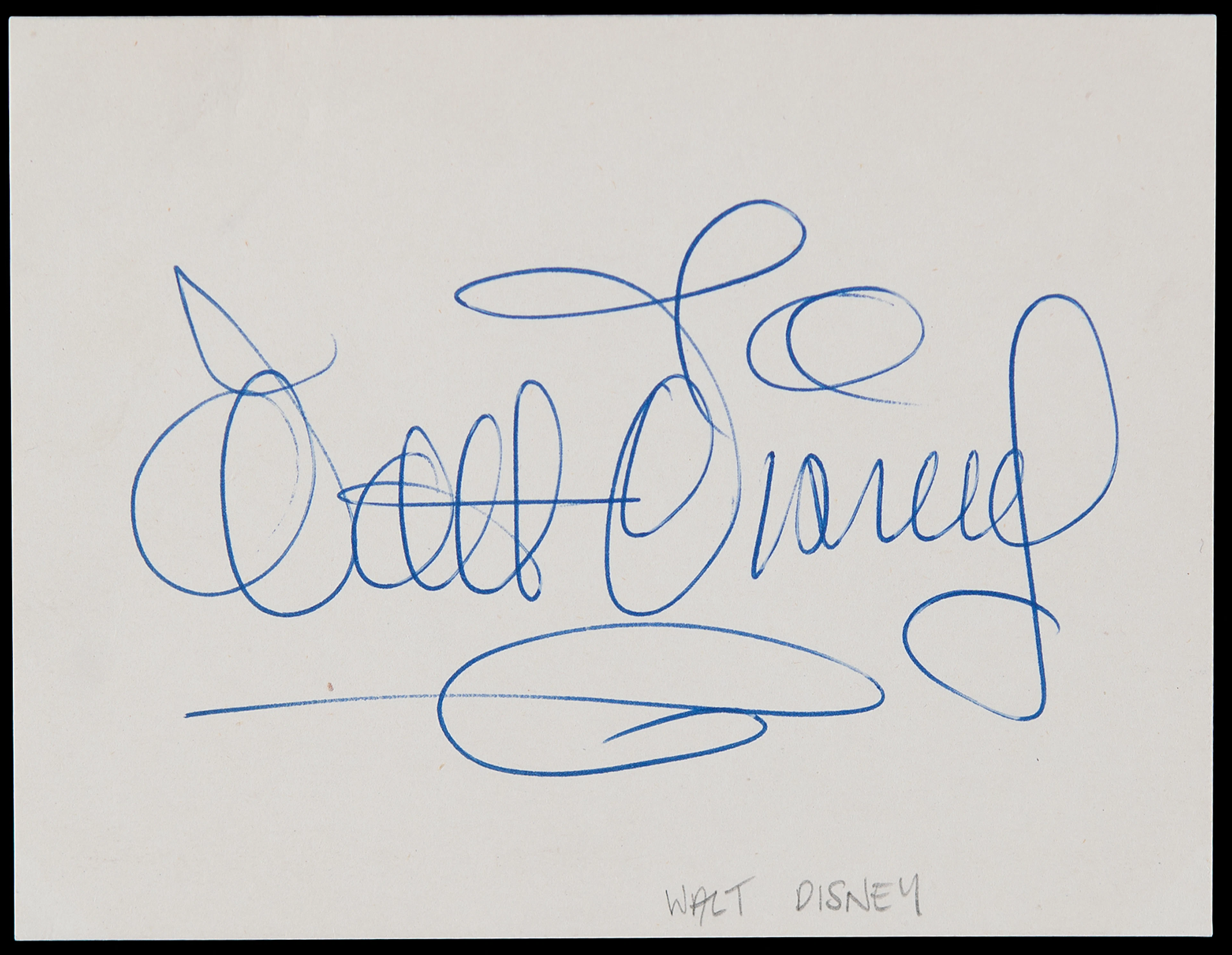 Walt Disney Signature