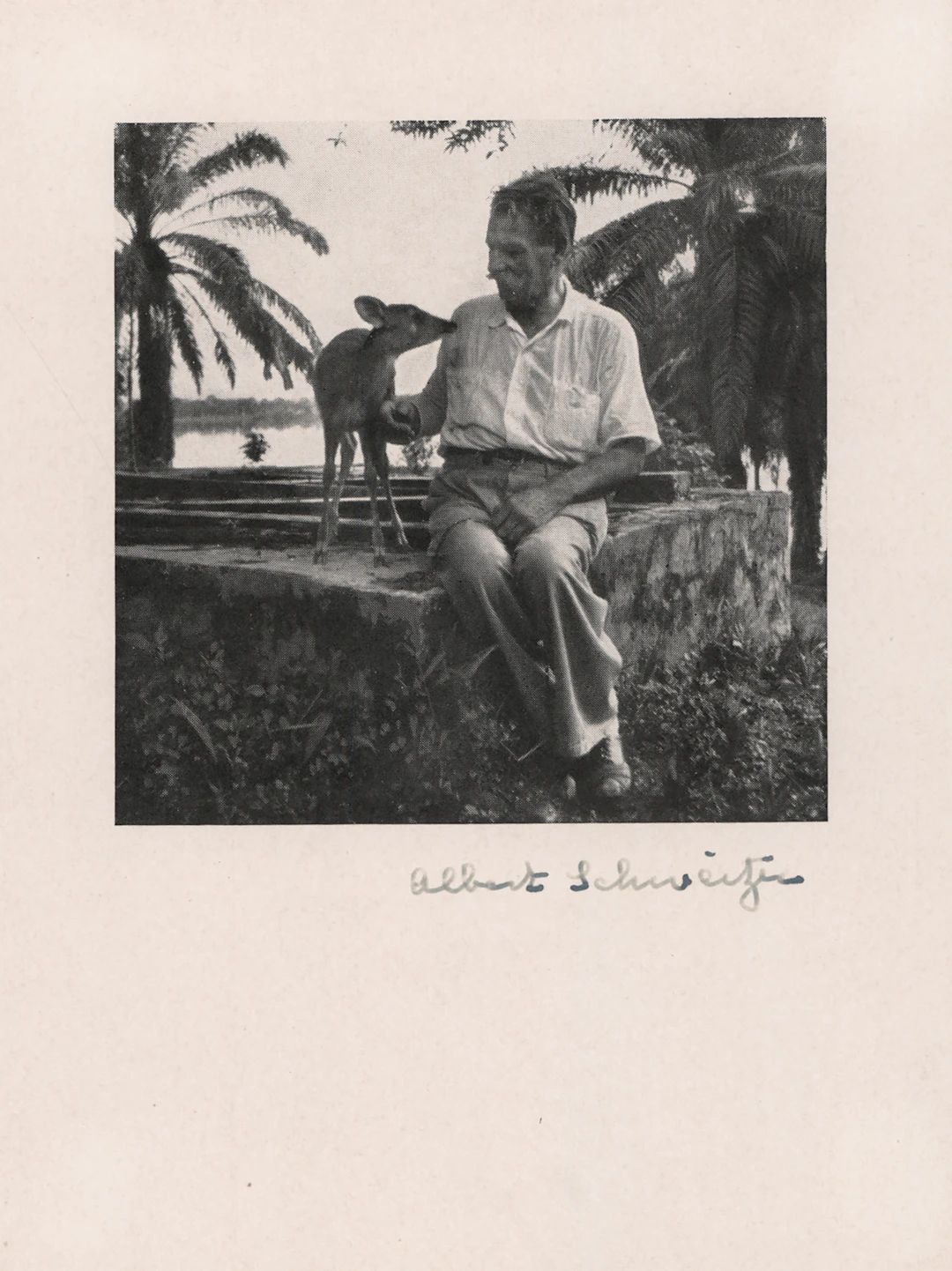Albert Schweitzer Signed Photograph