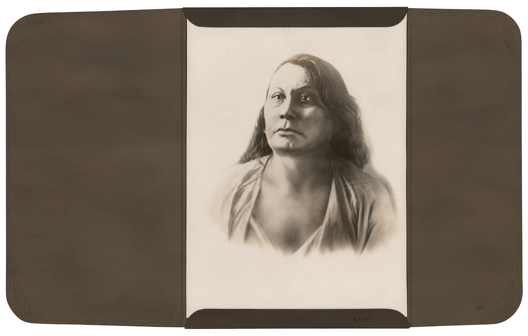 Chief Gall Original Photograph by D. F. Barry
