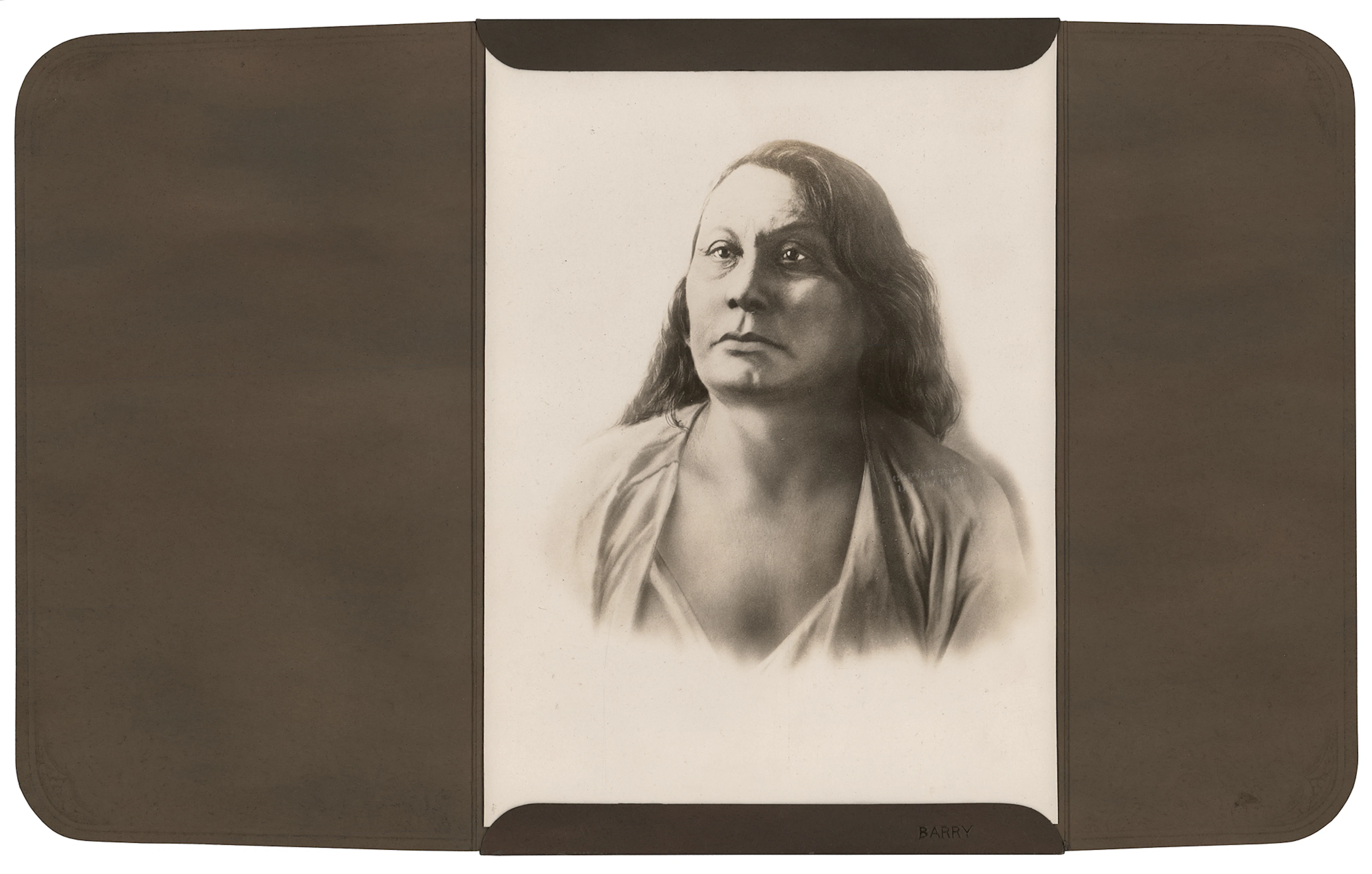 Chief Gall Original Photograph by D. F. Barry