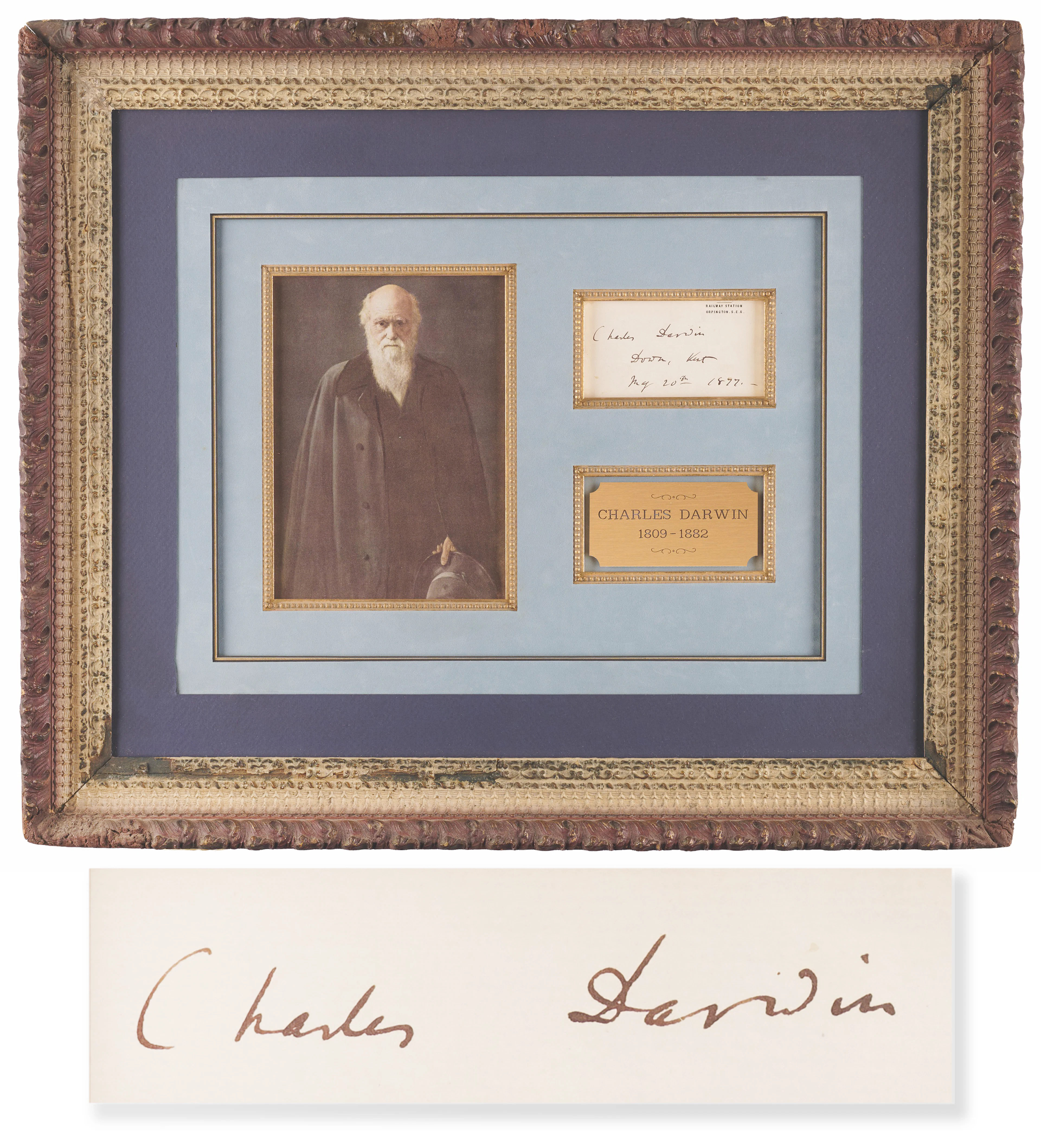Charles Darwin Signature - "Down, Kent," Where He Perfected His Theory