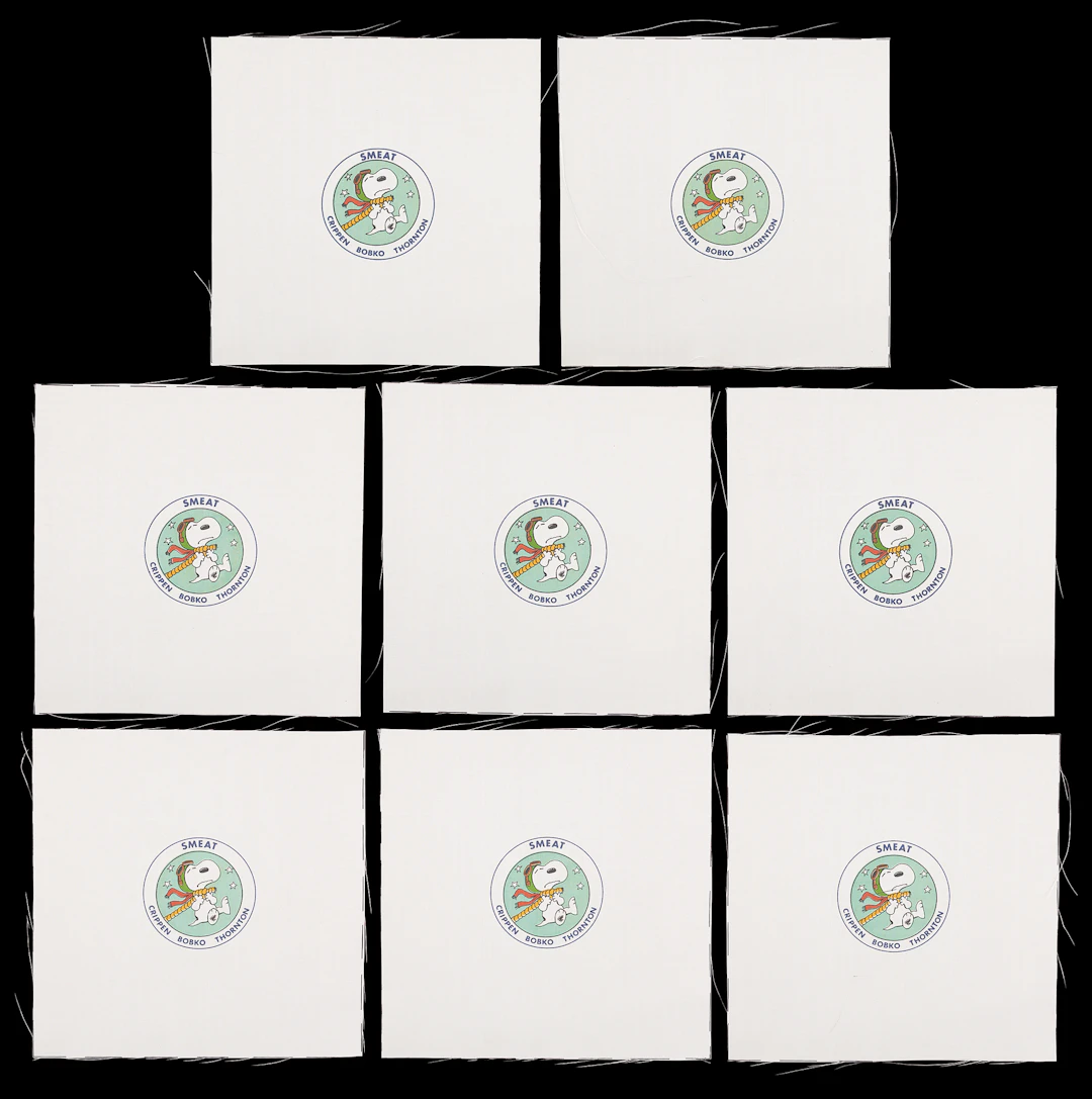 Skylab Medical Experiment Altitude Test (SMEAT) Beta Patches (8) -