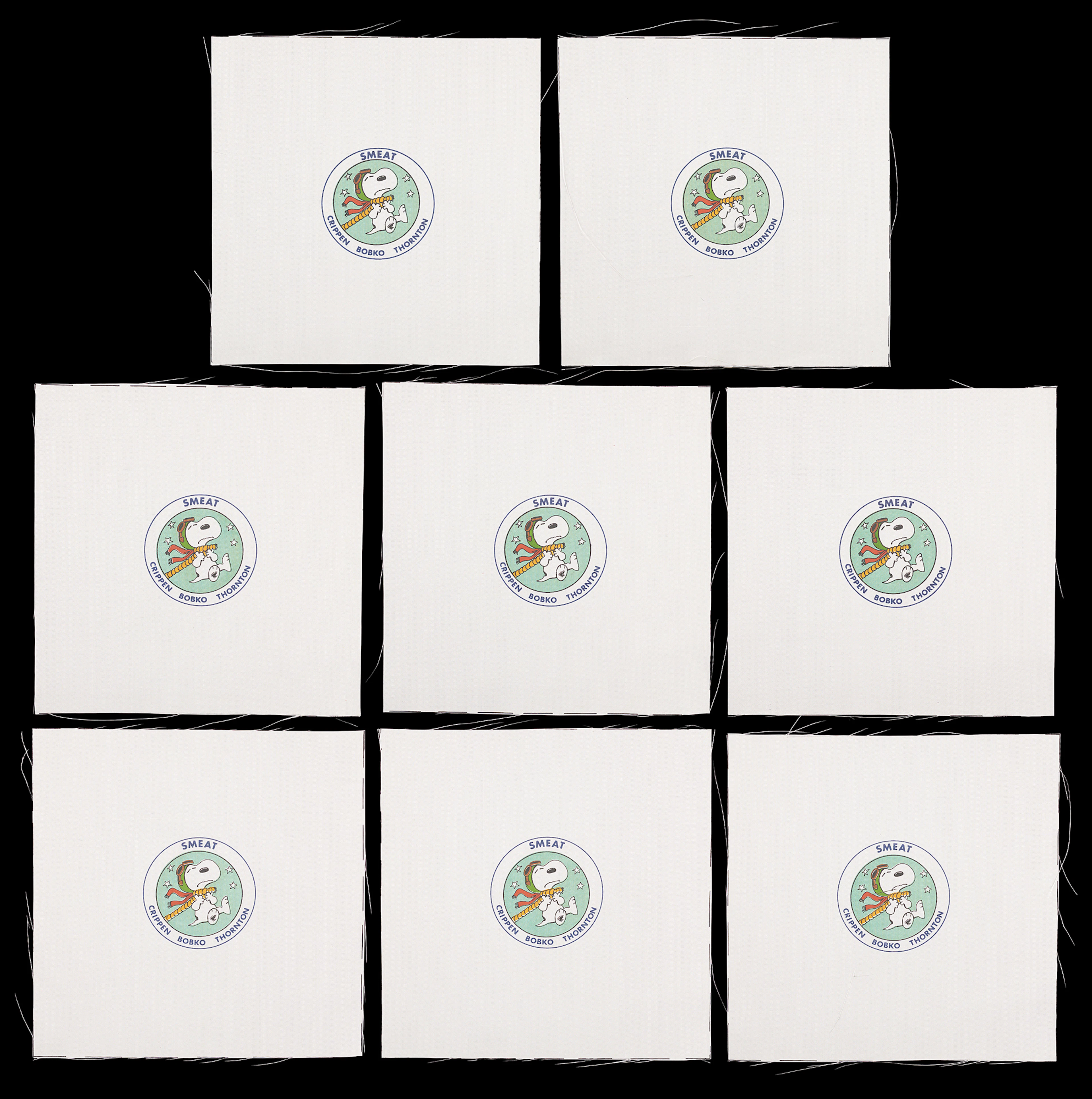 Skylab Medical Experiment Altitude Test (SMEAT) Beta Patches (8) -