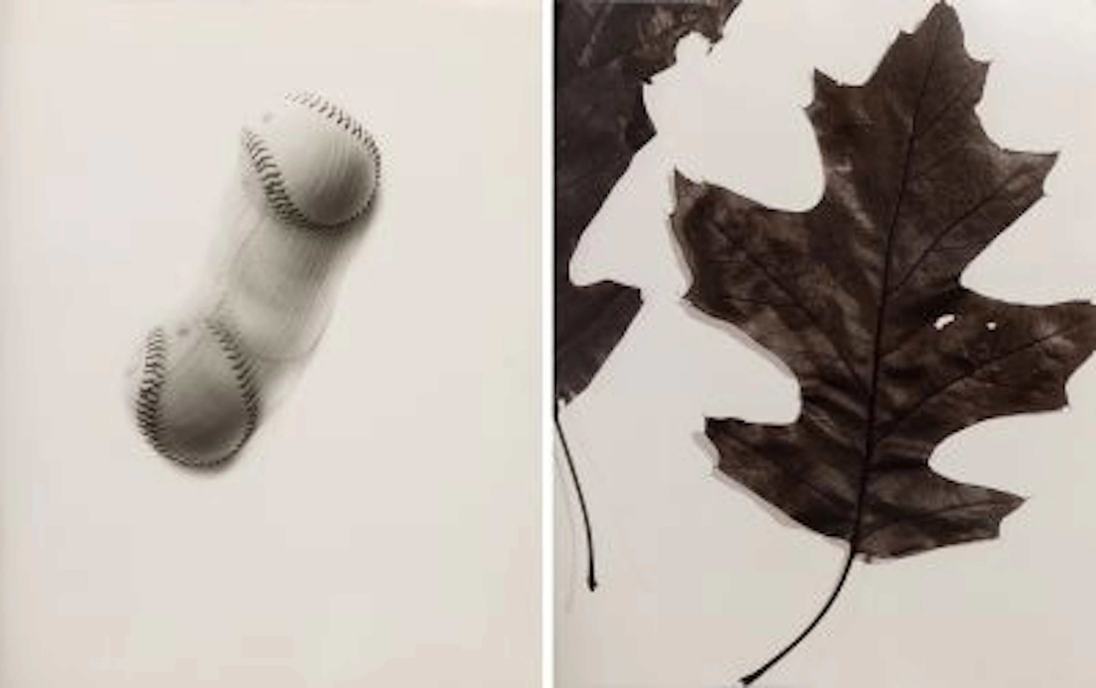 Christopher Makos