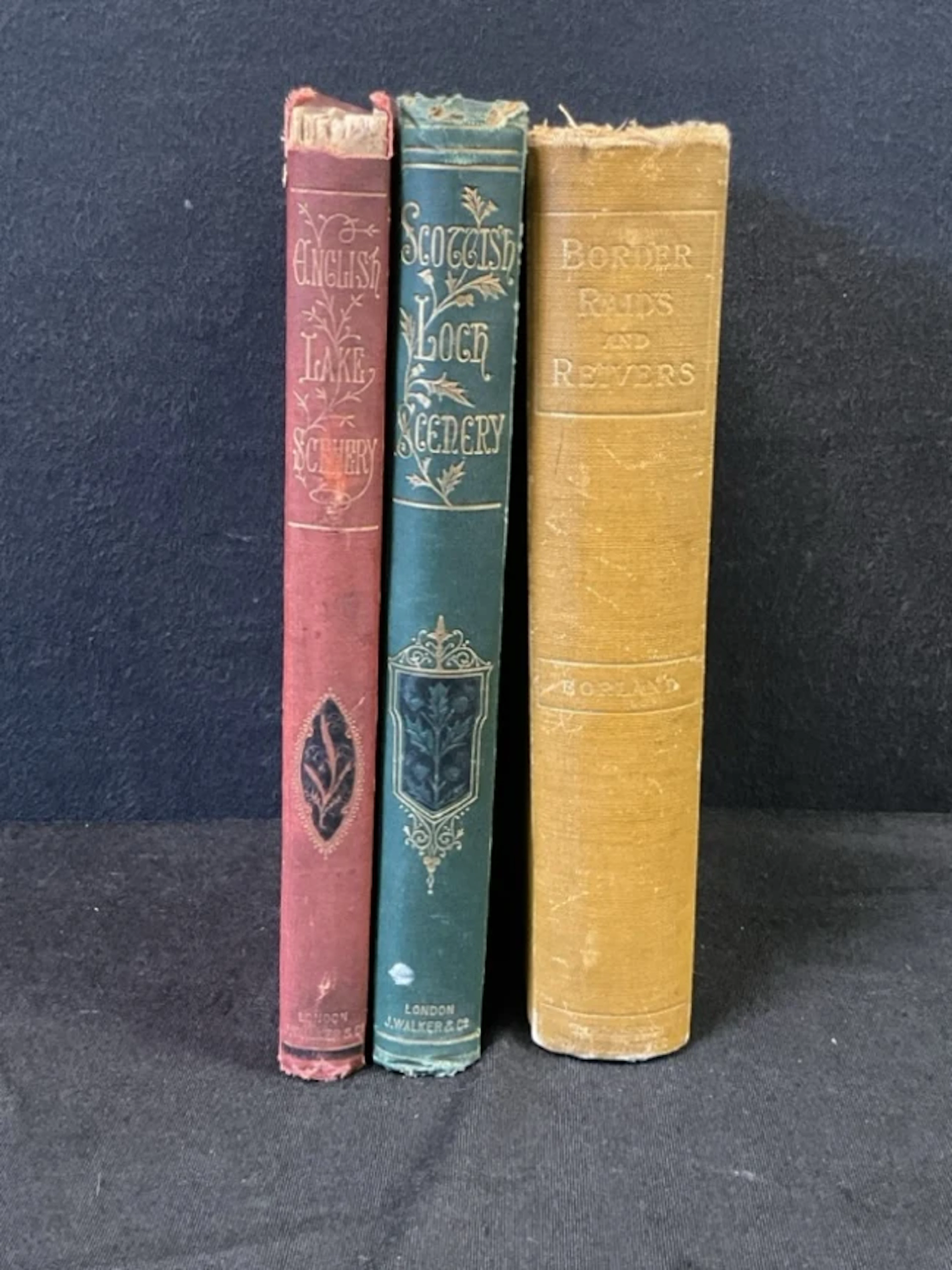 English Lake Scenery, pub. 1880, and Scottish Loch Scenery, pub. 1882