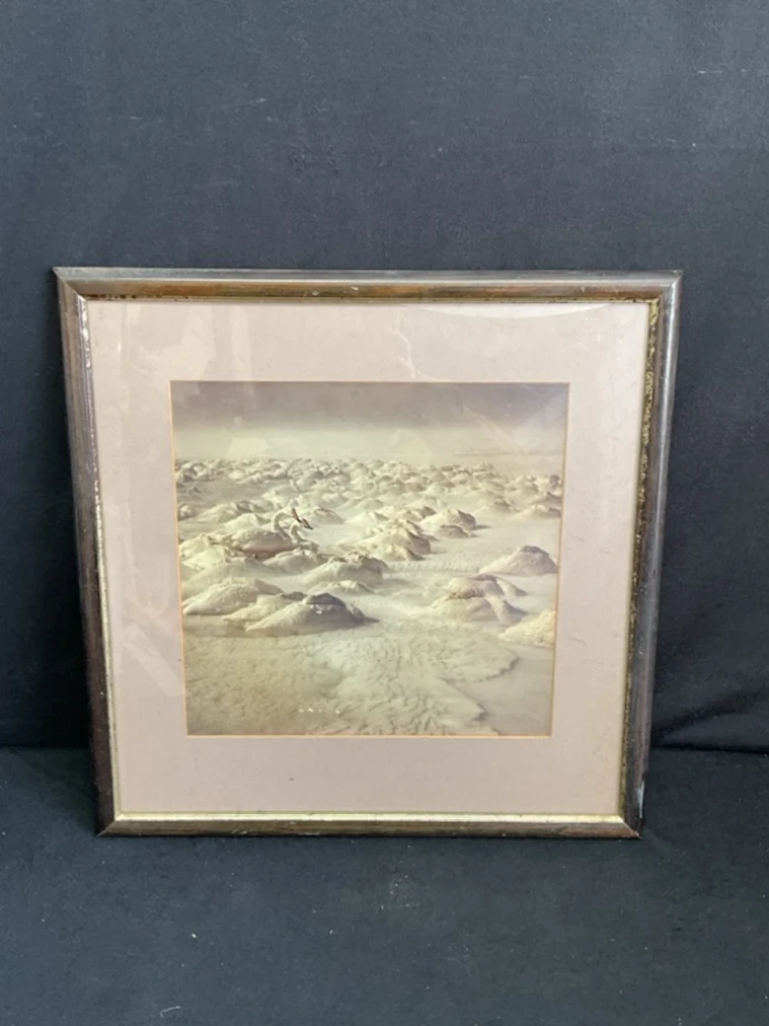 Teiji Saga, photographic print, whooper swans in the snow. (12in x 11.25in)