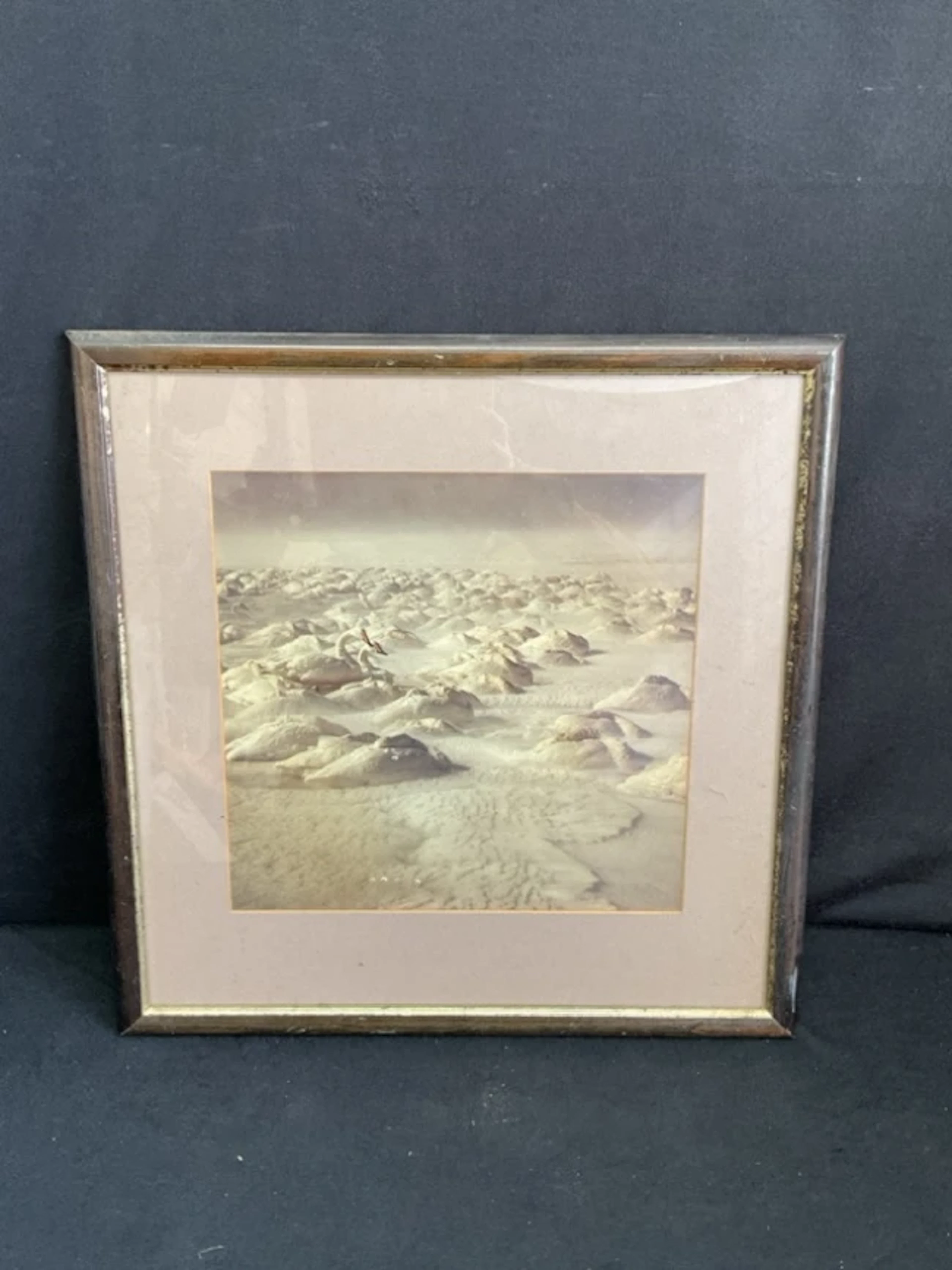 Teiji Saga, photographic print, whooper swans in the snow. (12in x 11.25in)