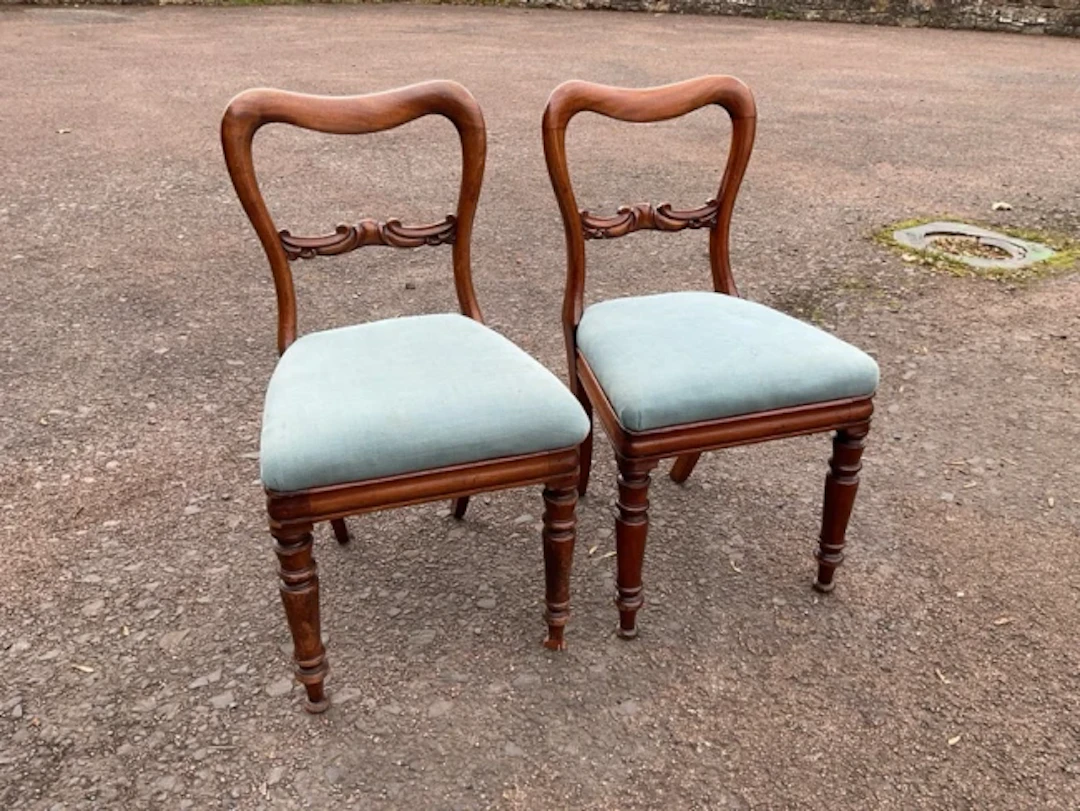 A pair of Victorian mahogany baloon-back chairs with scroll carved