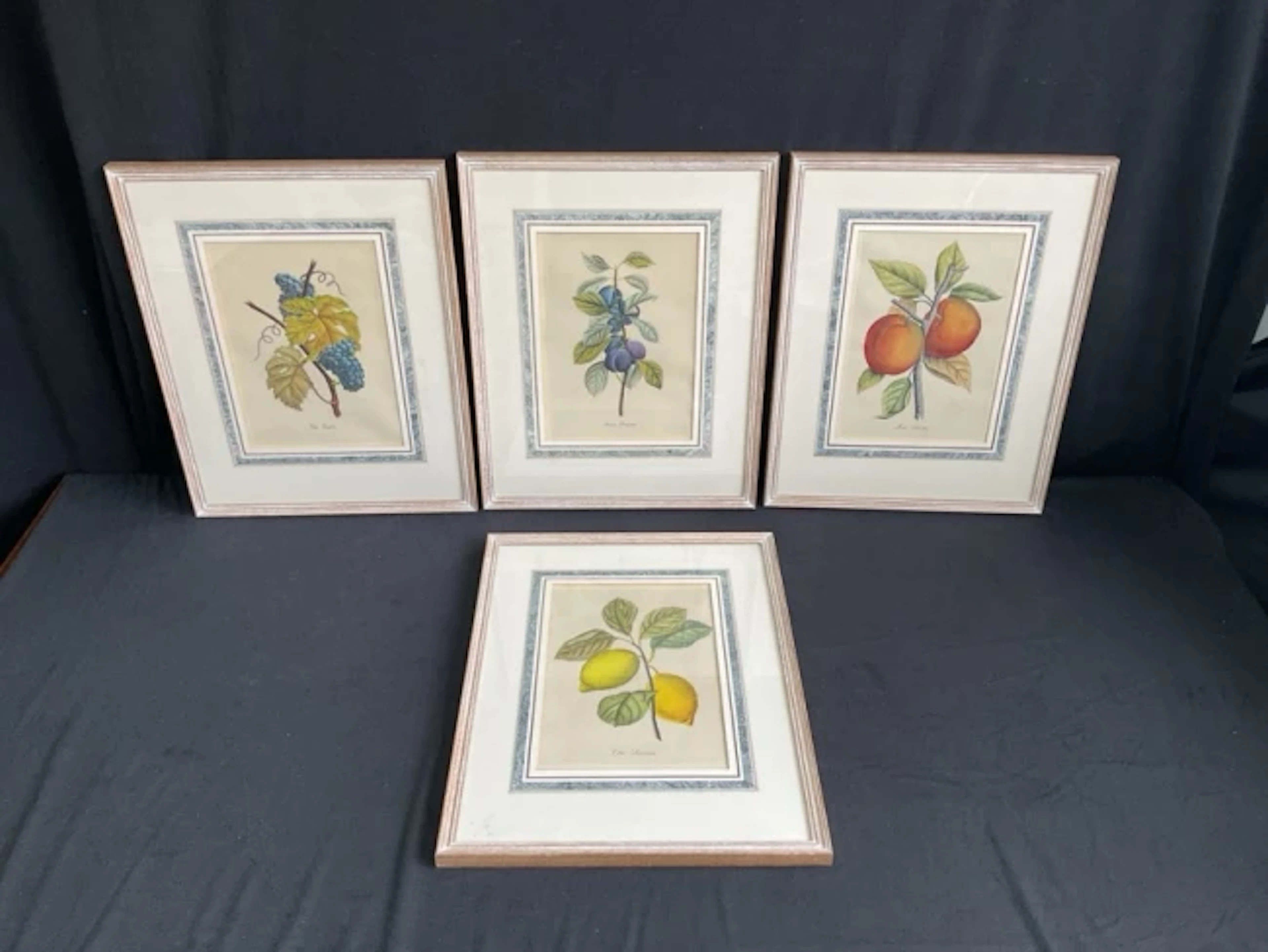A set of four decorative fruit prints, the latin titled coloured plates