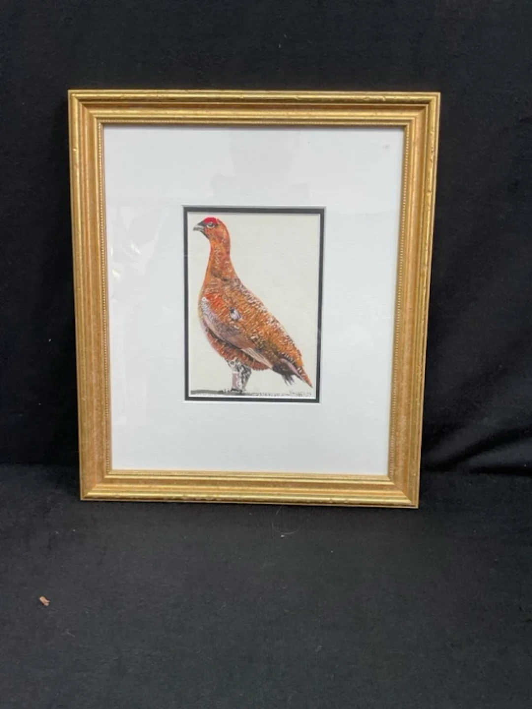 Philip Knaggs, watercolour, Red Grouse, signed, dated 2014, mounted