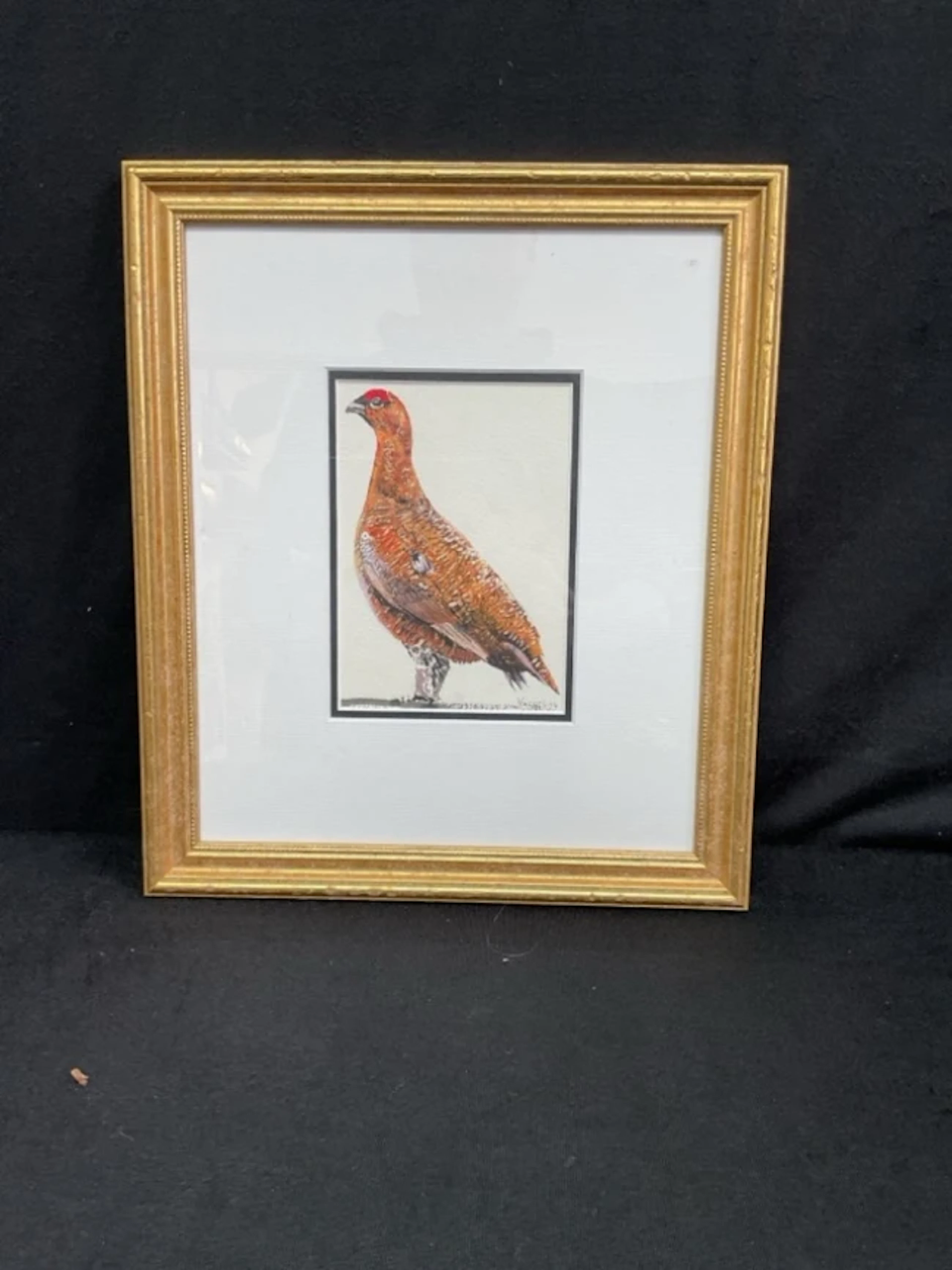 Philip Knaggs, watercolour, Red Grouse, signed, dated 2014, mounted