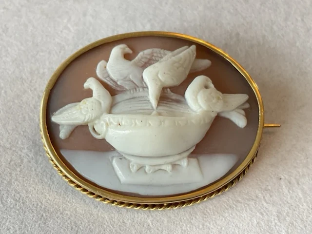 An antique oval shell cameo brooch in gold twisted mount, depicting