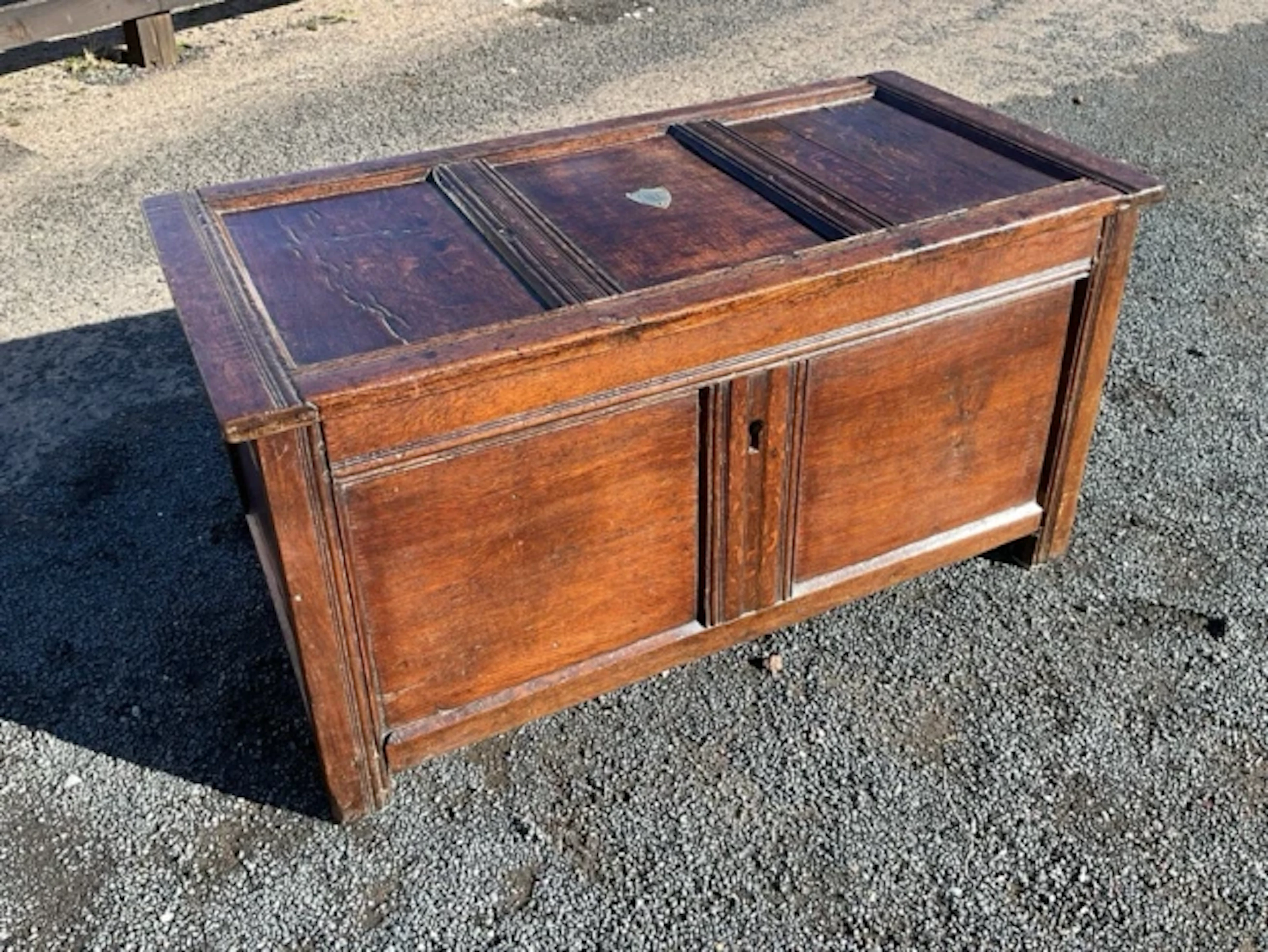 A late C18th oak coffer with three moulded panels to butterfly hinged