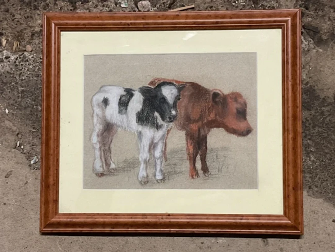 Manner of David Thomas Robertson, pastel, study of two calves, unsigned