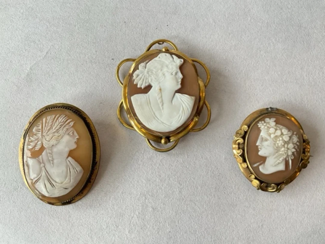 Three oval shell cameo brooches of classical women, each set in gilt