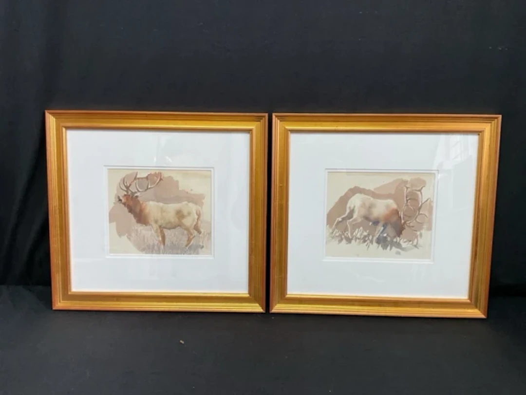 C20th Scottish School, a pair of watercolours, studies of red stags