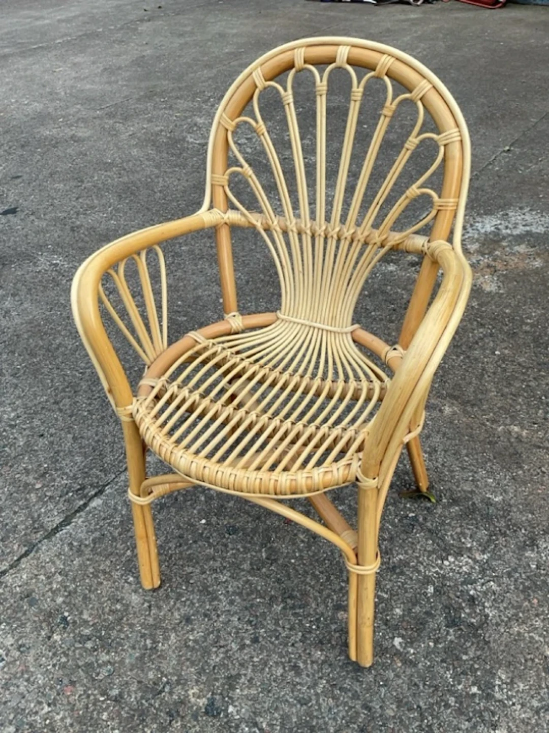 A cane armchair with arched back framing fan type spindles above rounded