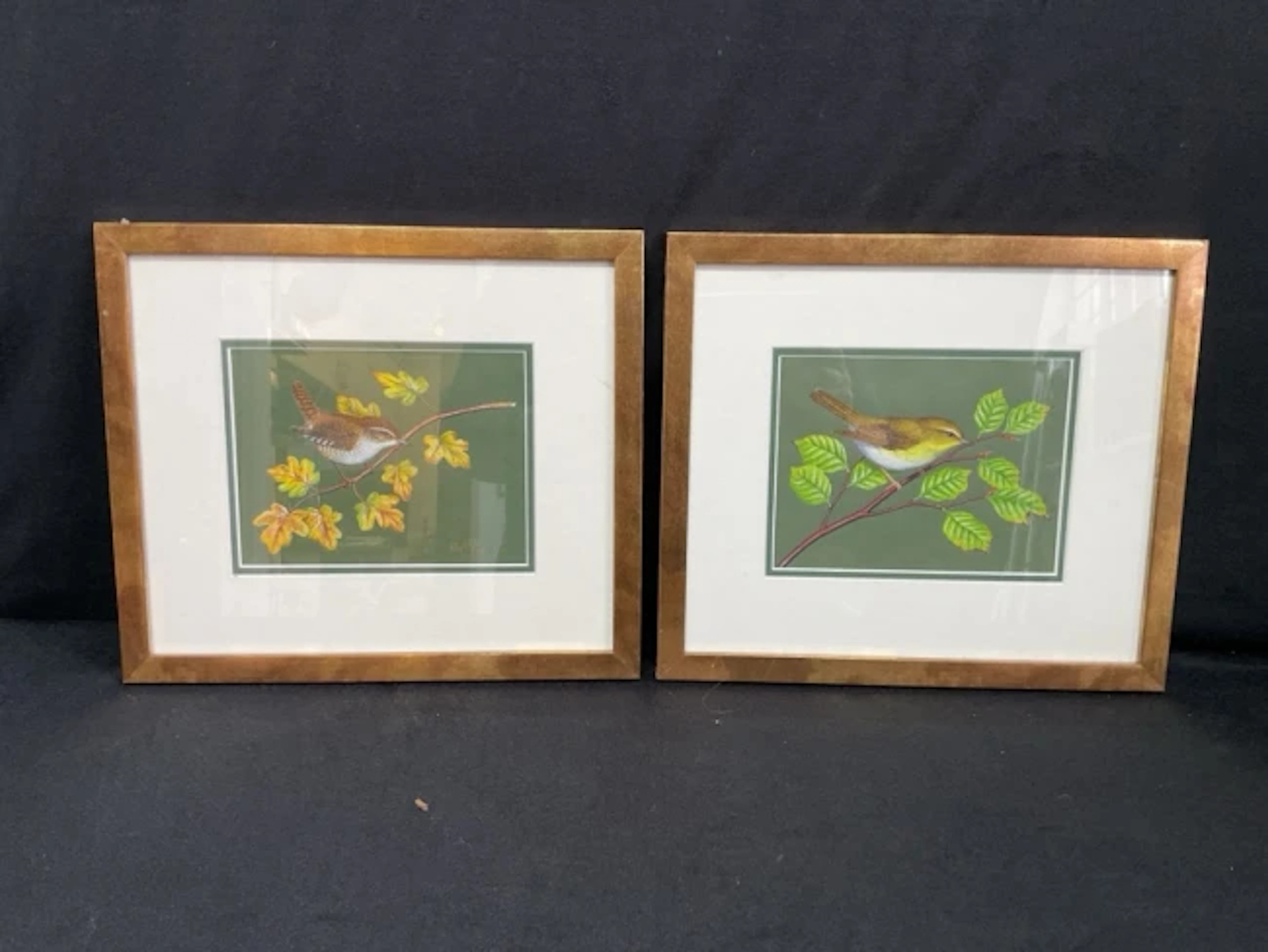 Ray Styles, a pair of watercolours, a wren perched on a field maple