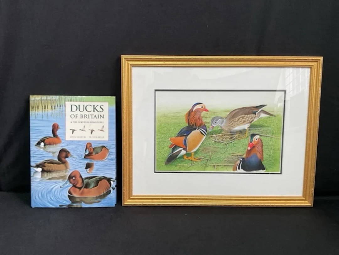 Ducks of Britain & the Northern Hemisphere by John Gooders & Trevor
