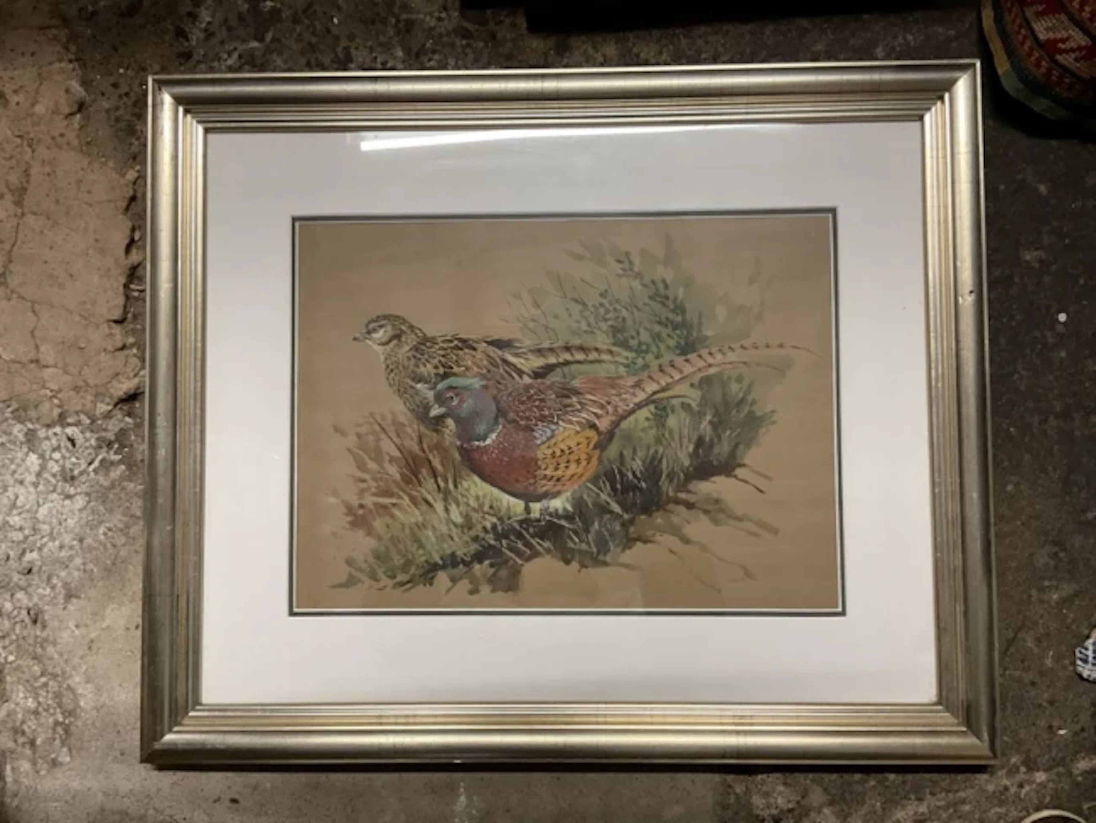 Frank Jarvis, watercolour and gouache, a pair of pheasants, signed