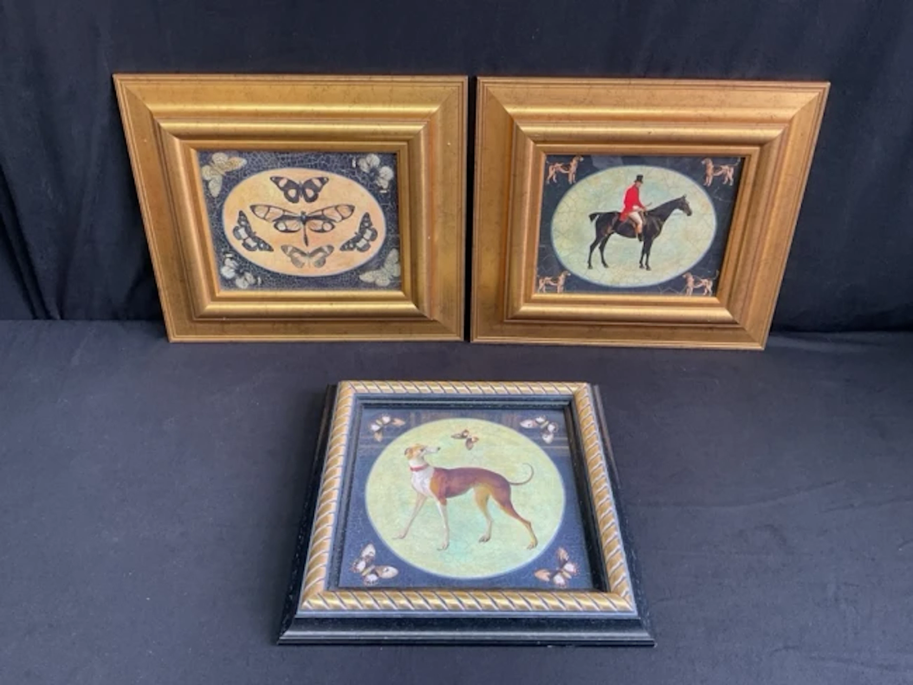 Three decorative framed prints - butterflies, mounted huntsman and