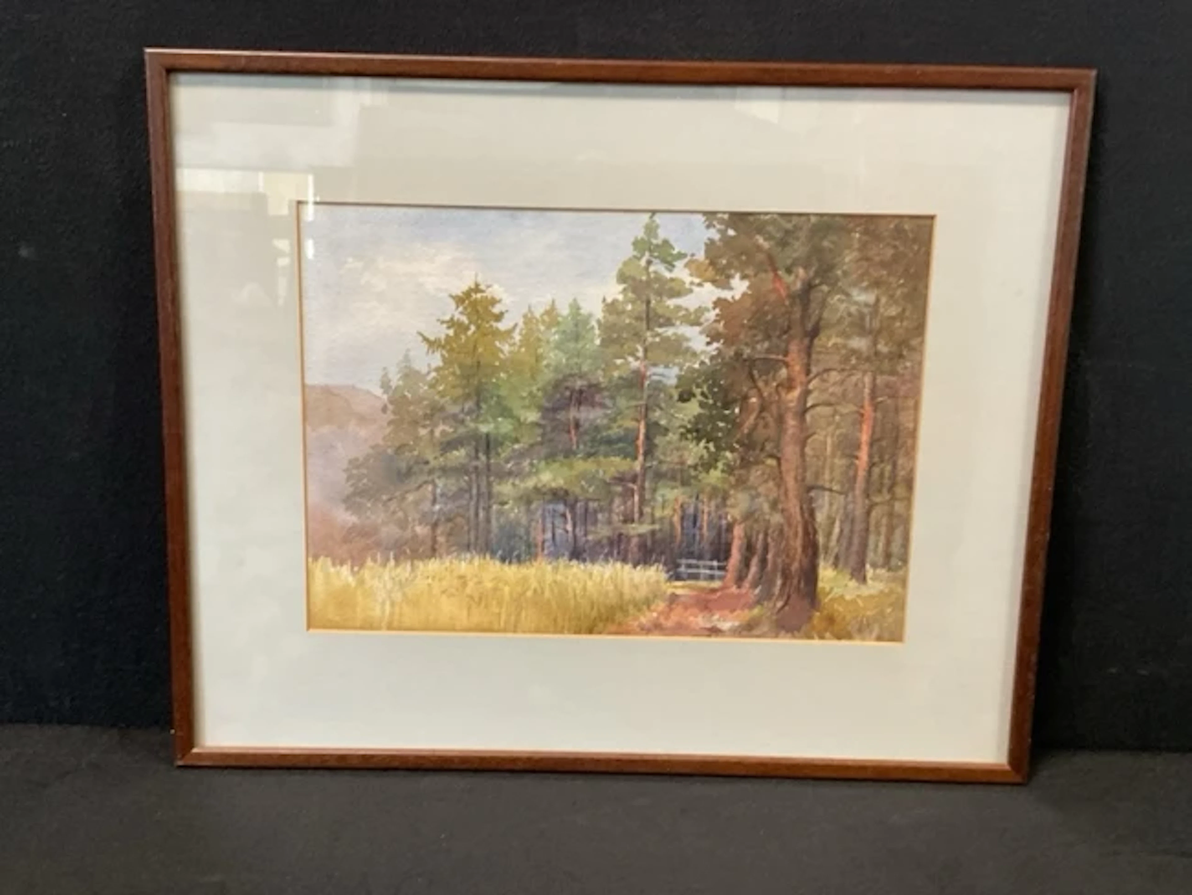 Mary S Bruce, watercolour, wooded landscape titled a Quiet Corner