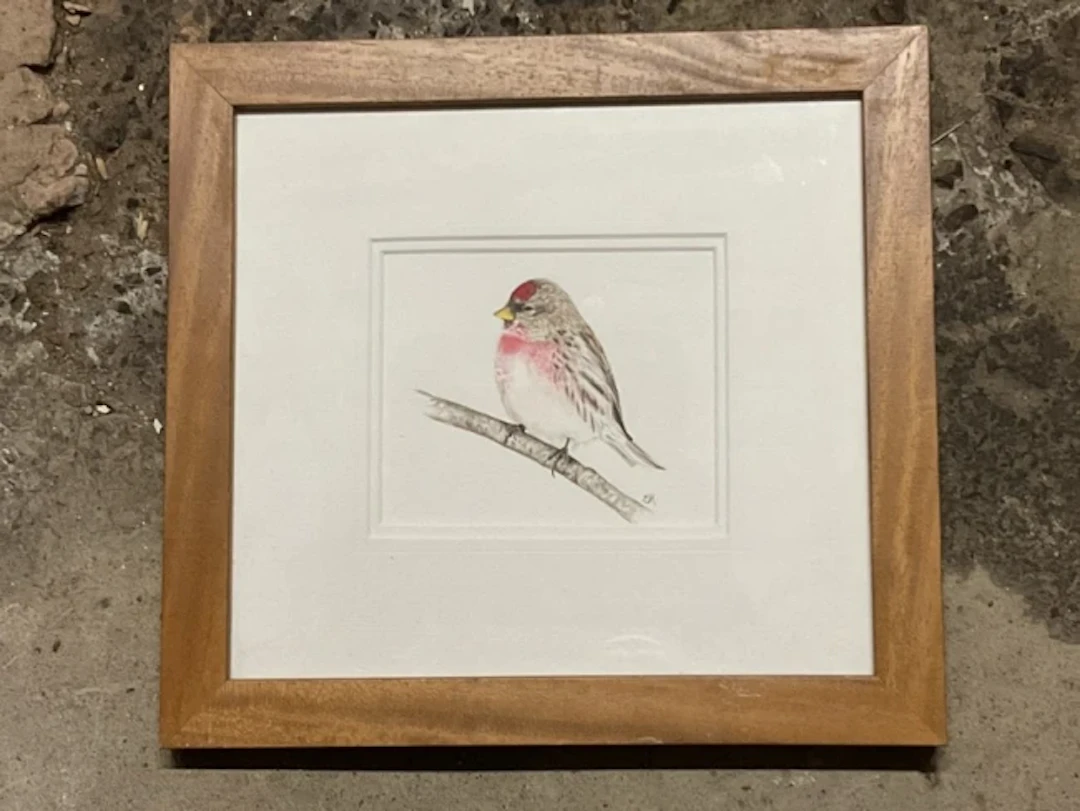 Emma Hogan, watercolour, a redpoll perched on a twig, titled & dated