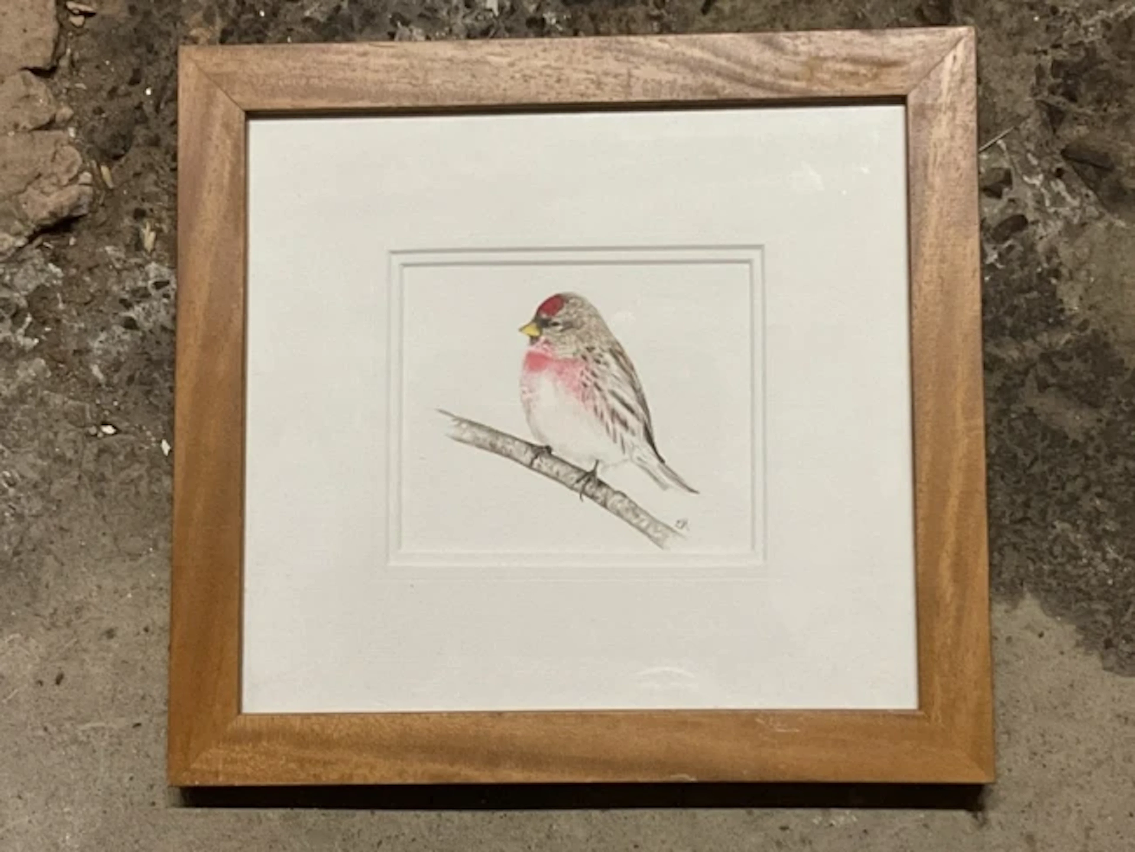Emma Hogan, watercolour, a redpoll perched on a twig, titled & dated