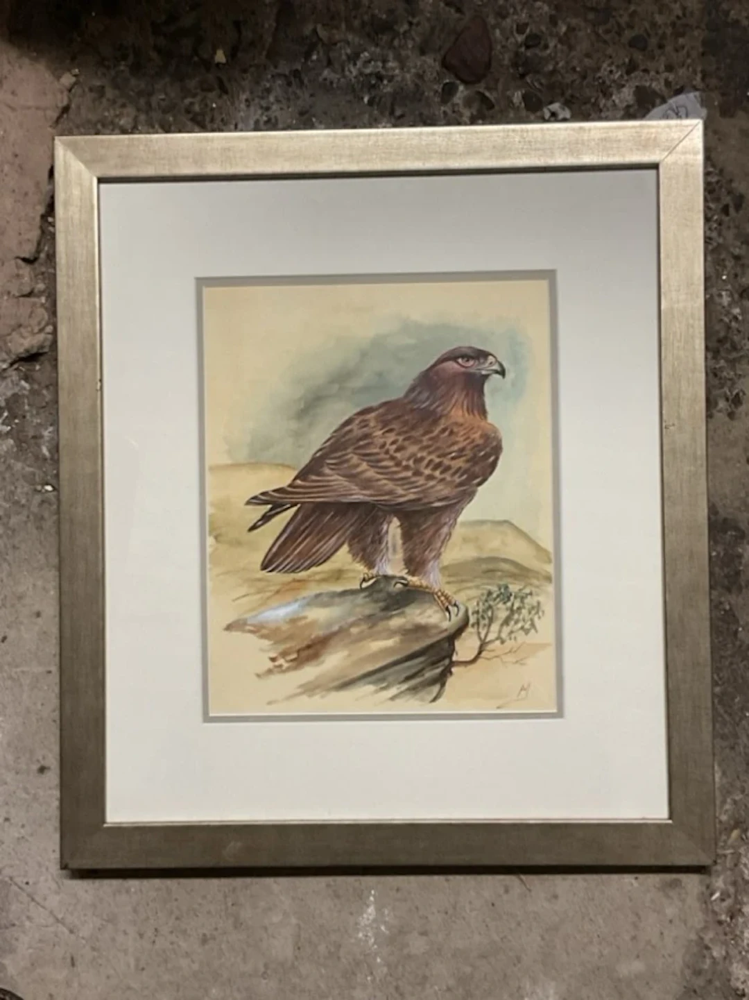 AM, watercolour, a golden eagle on a rocky outcrop, signed with monogram
