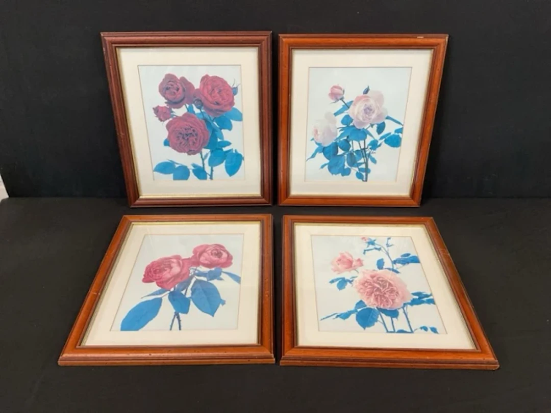 A set of four colour photographic prints of roses, mounted & framed.