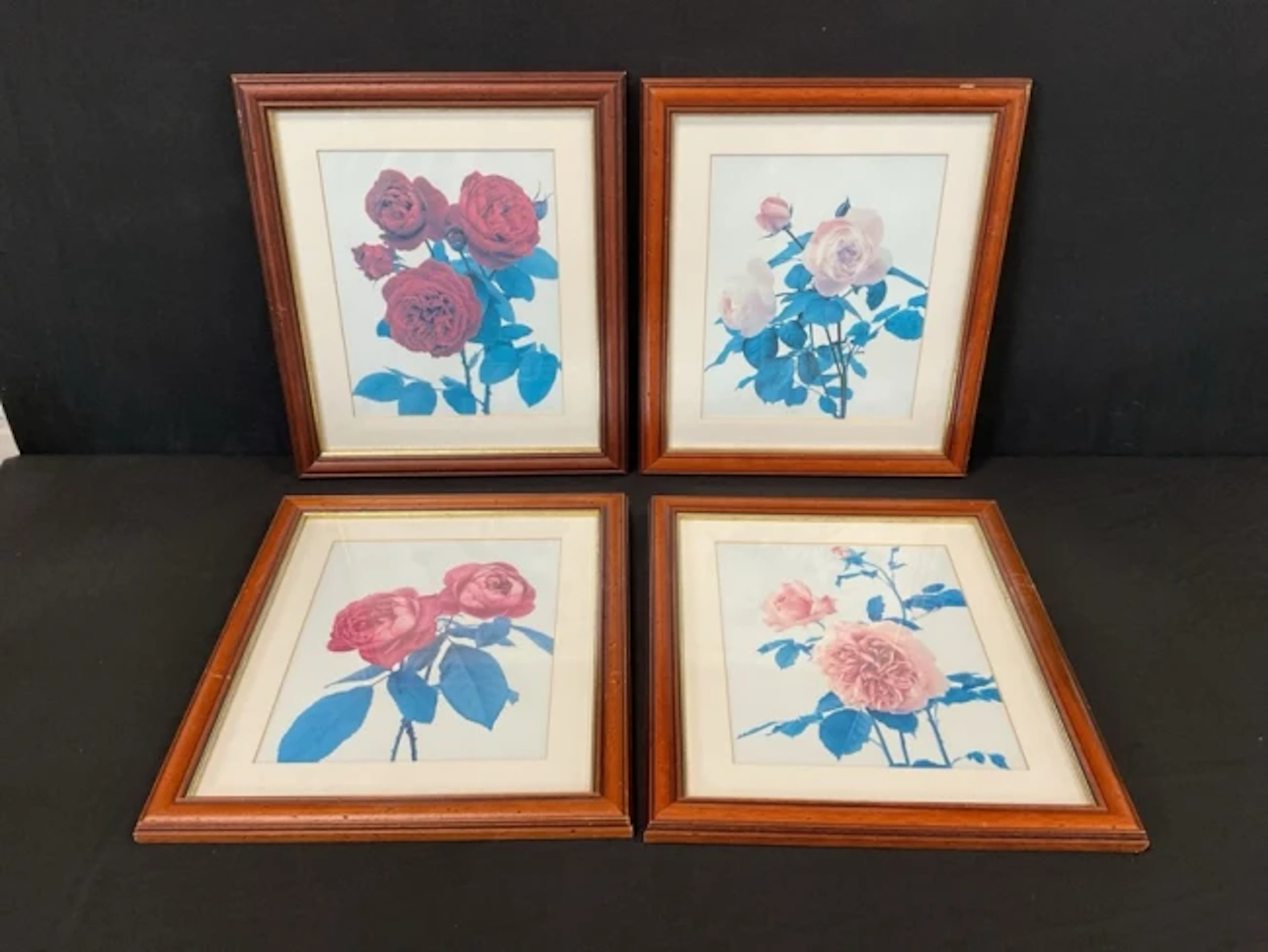 A set of four colour photographic prints of roses, mounted & framed.