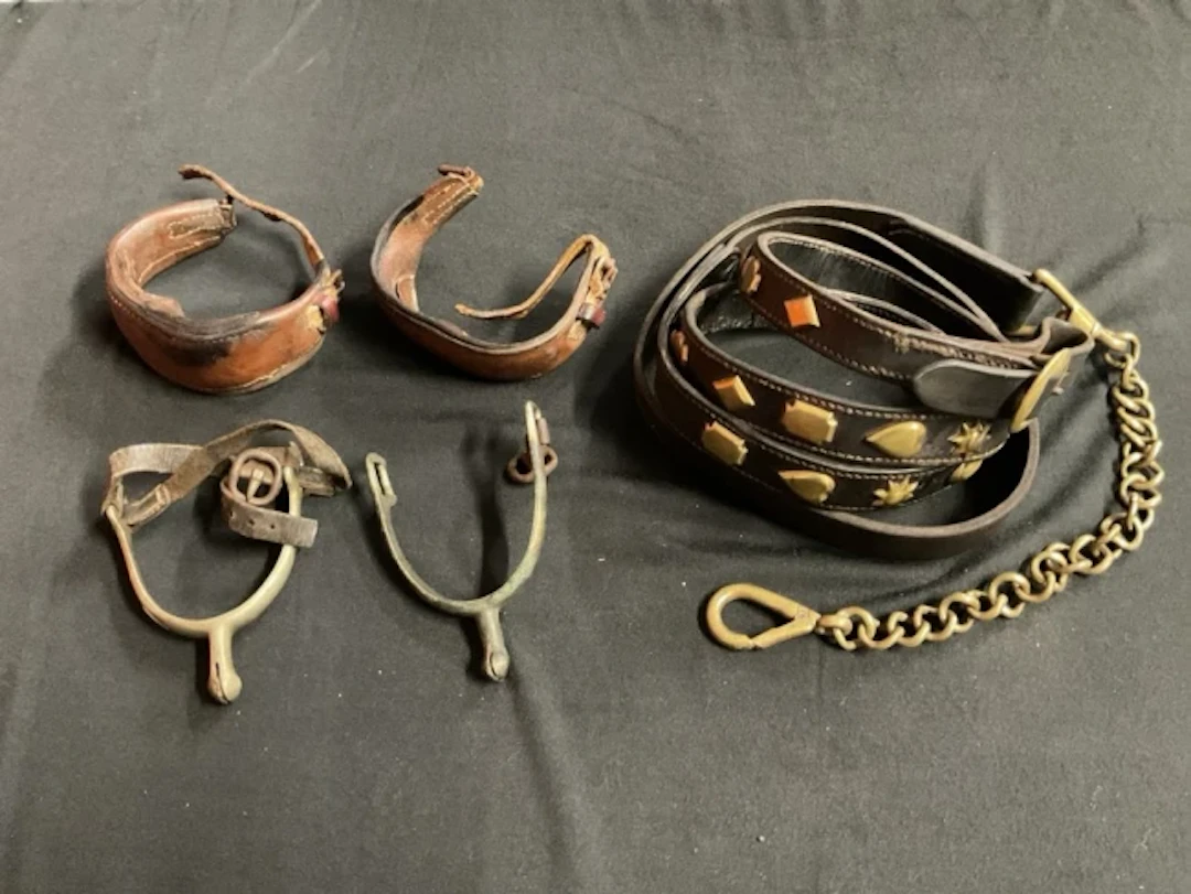 An equestrian leather lead up rein with 24 faceted and sun & moon