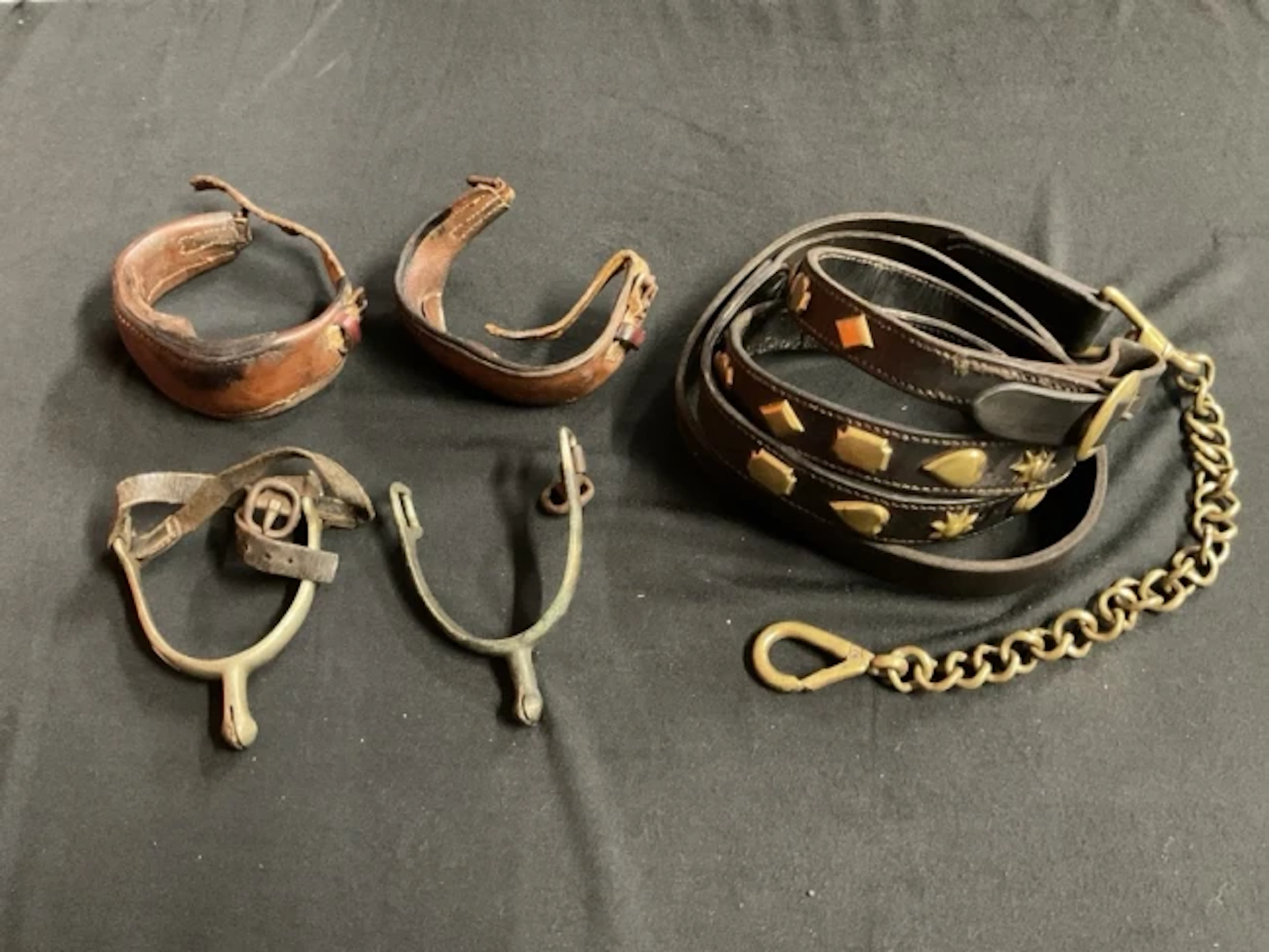 An equestrian leather lead up rein with 24 faceted and sun & moon