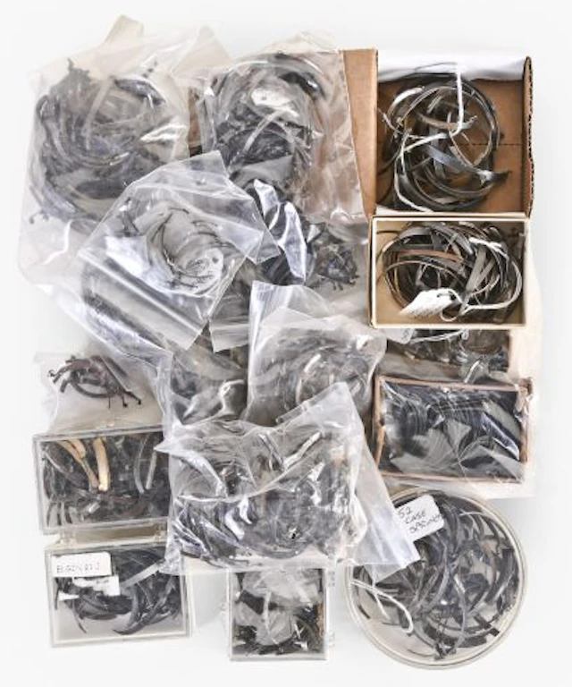 A very large lot of pocket watch case latch and lift springs