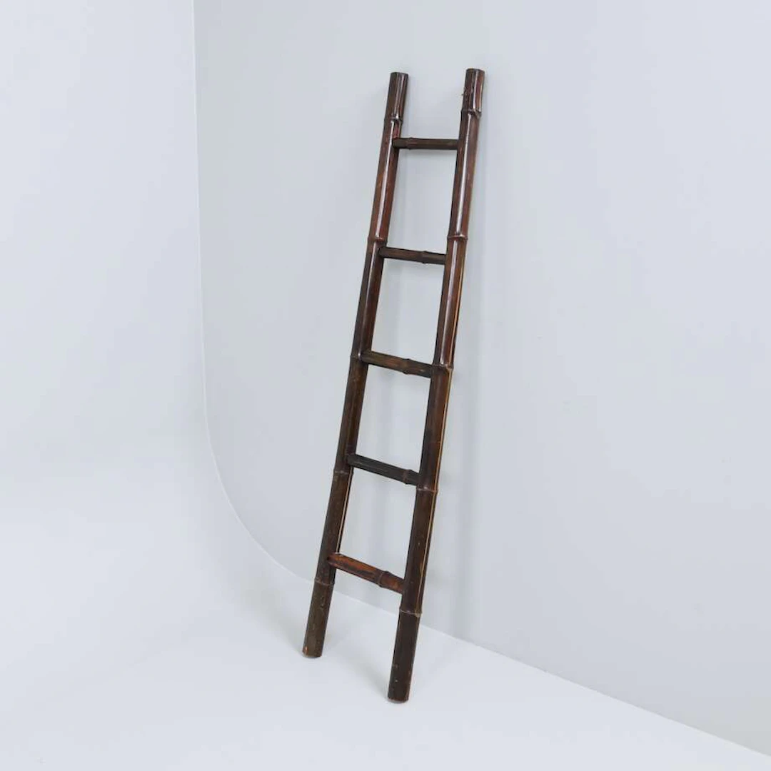 Bamboostege