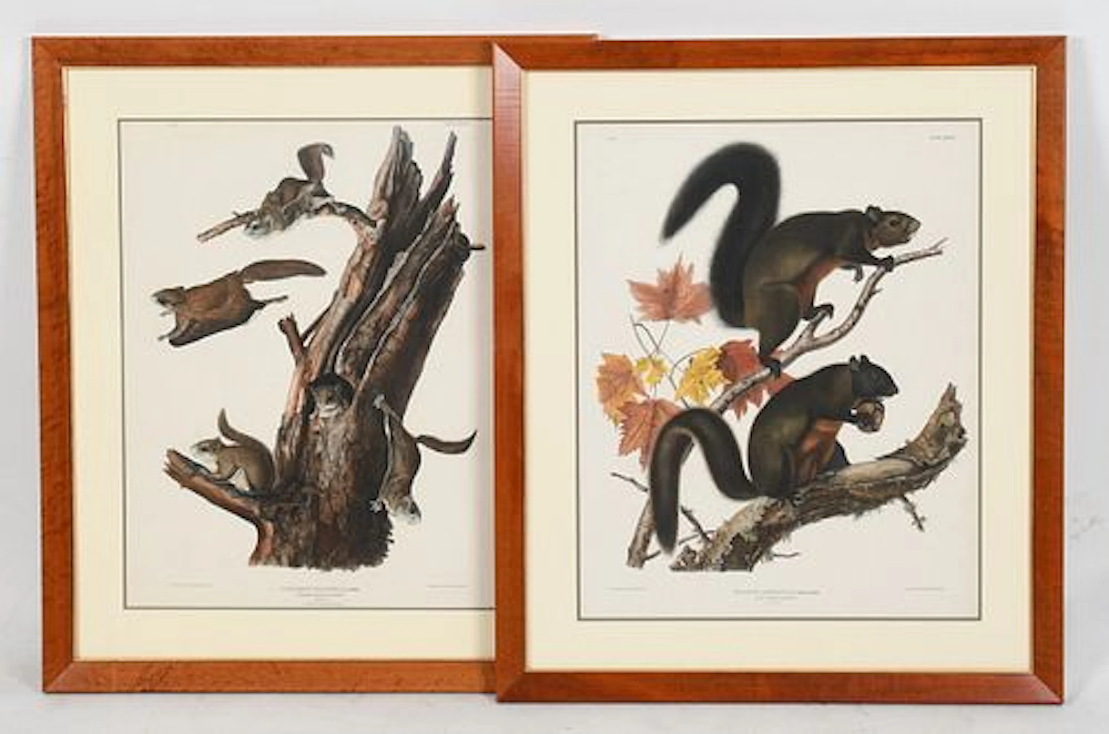 John James Audubon (French-American, 1785-1851), Two Prints from the