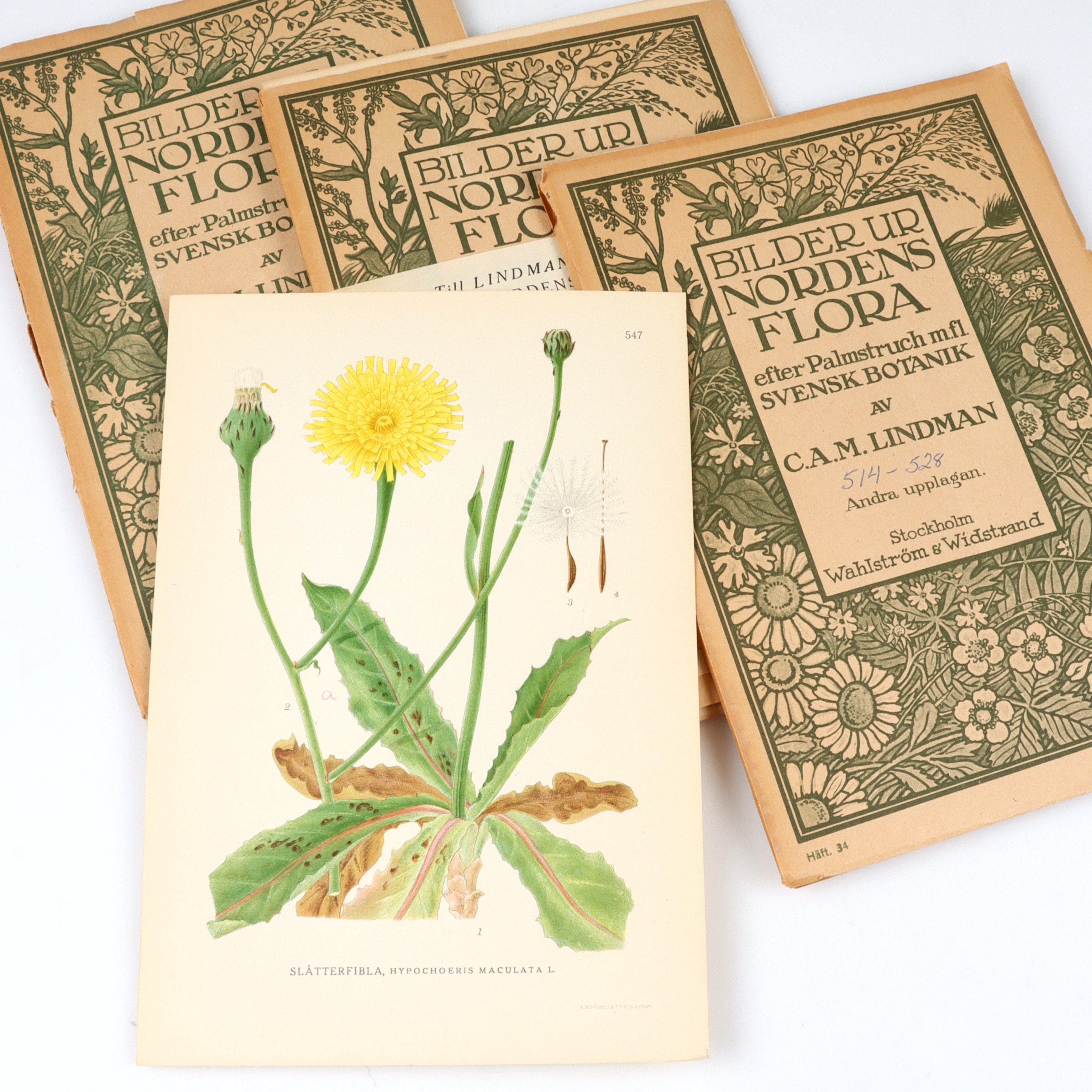 C.A.M LINDMAN. "Bilder ur Nordens Flora". Häften med litografiska