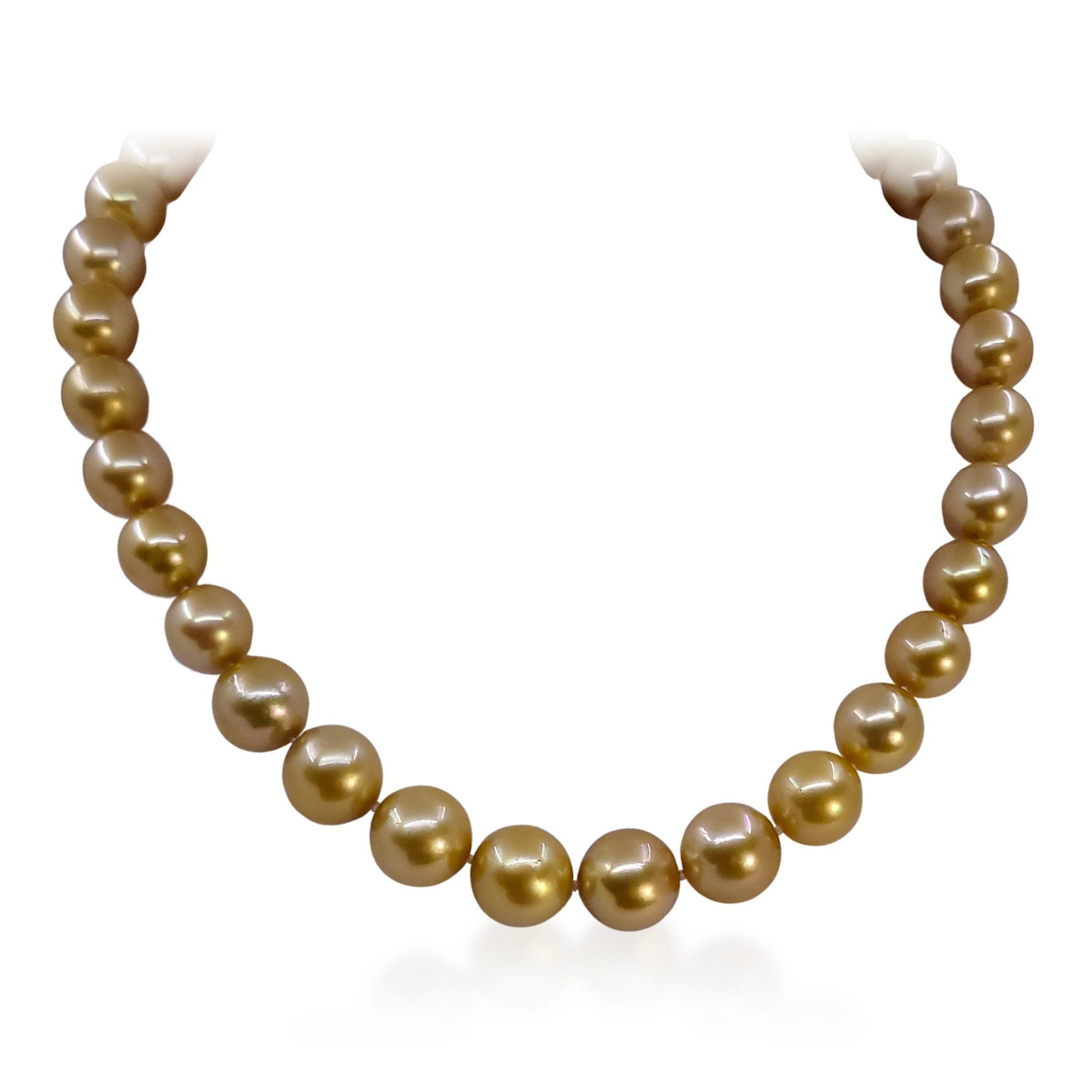 Deep Golden South Sea Pearl Necklace