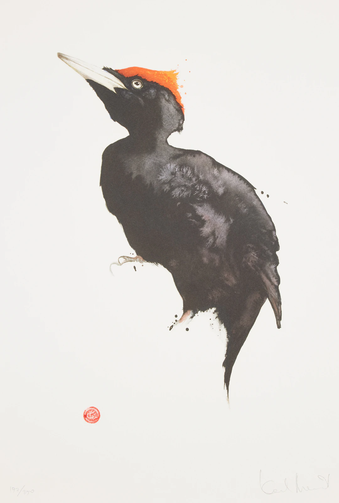 KARL MÅRTENS. "Spillkråka", färglitografi, signerad, numrerad 197/250.