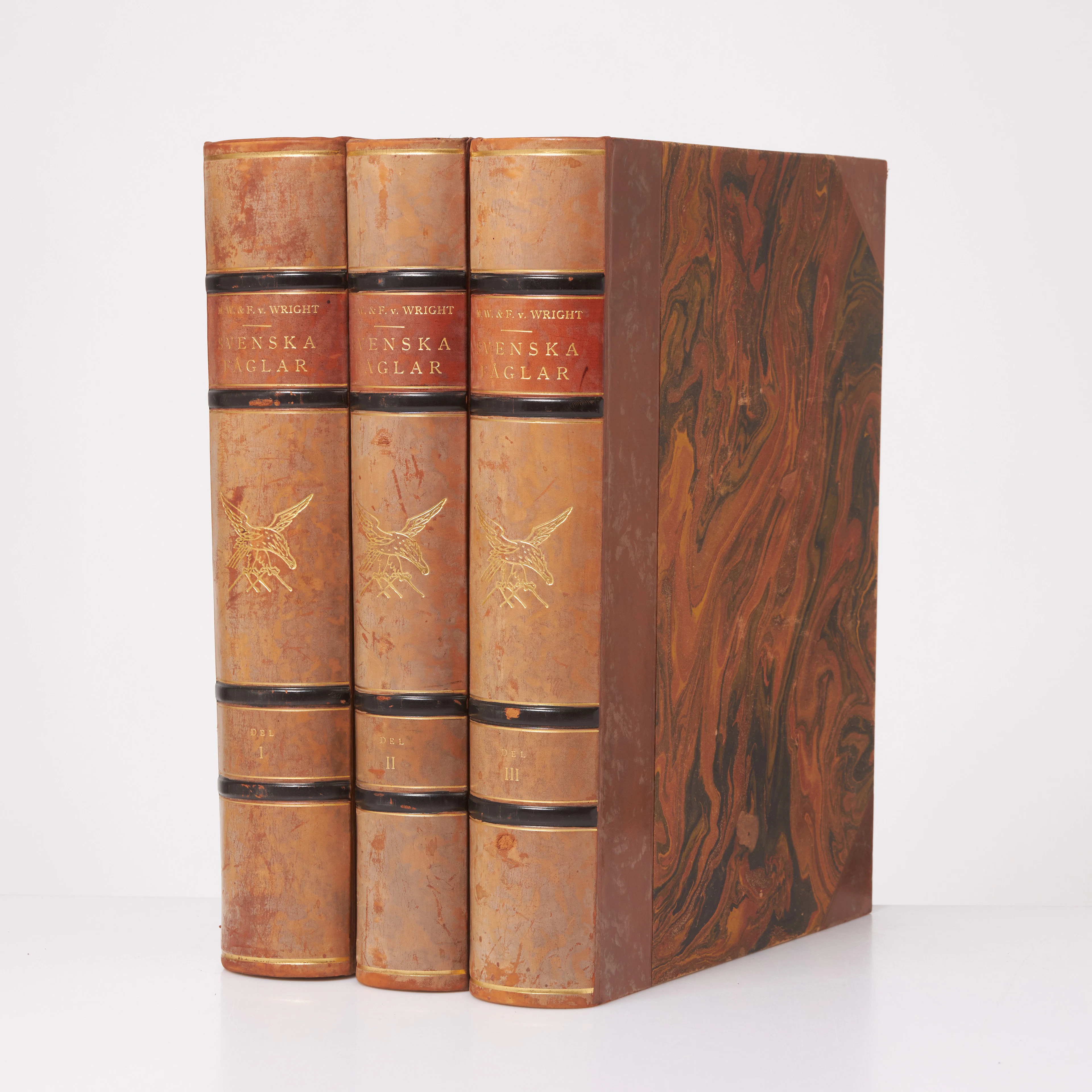 SVENSKA FÅGLAR, Wright, 3 volymer, 1929.