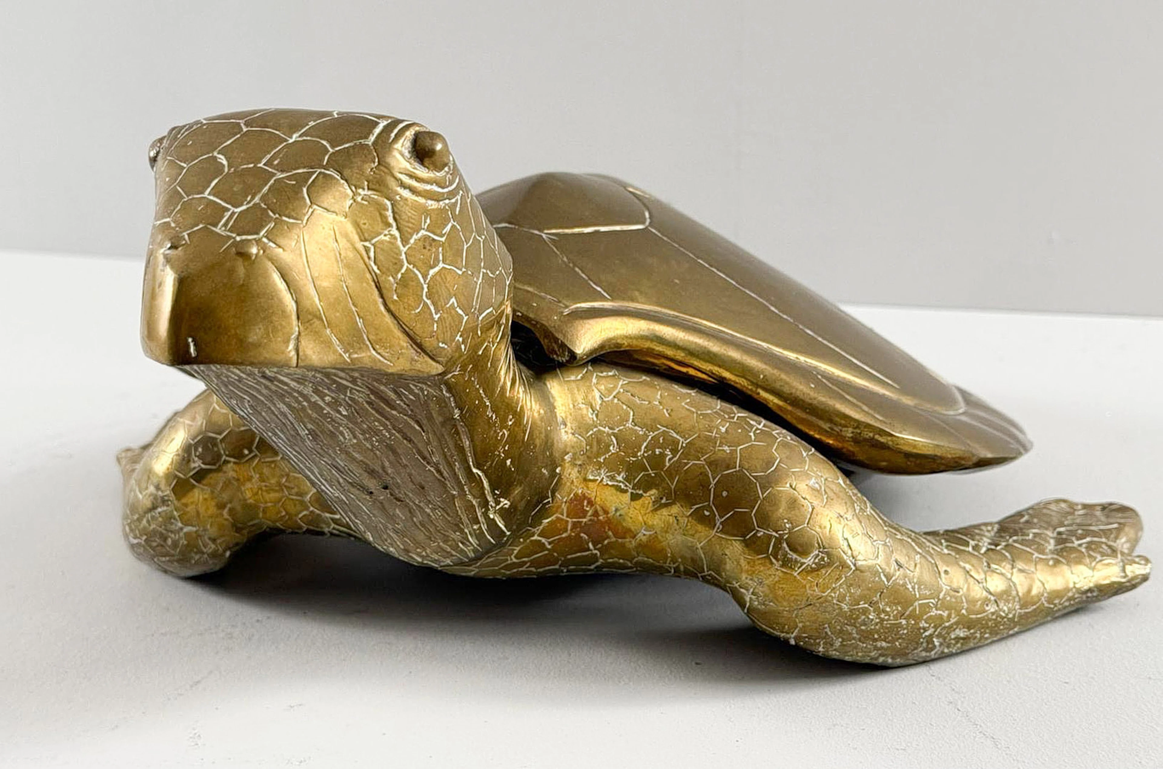 Hollywood Regency, Messing Schildkröte Skulptur/Box/Hawksbill Turtle