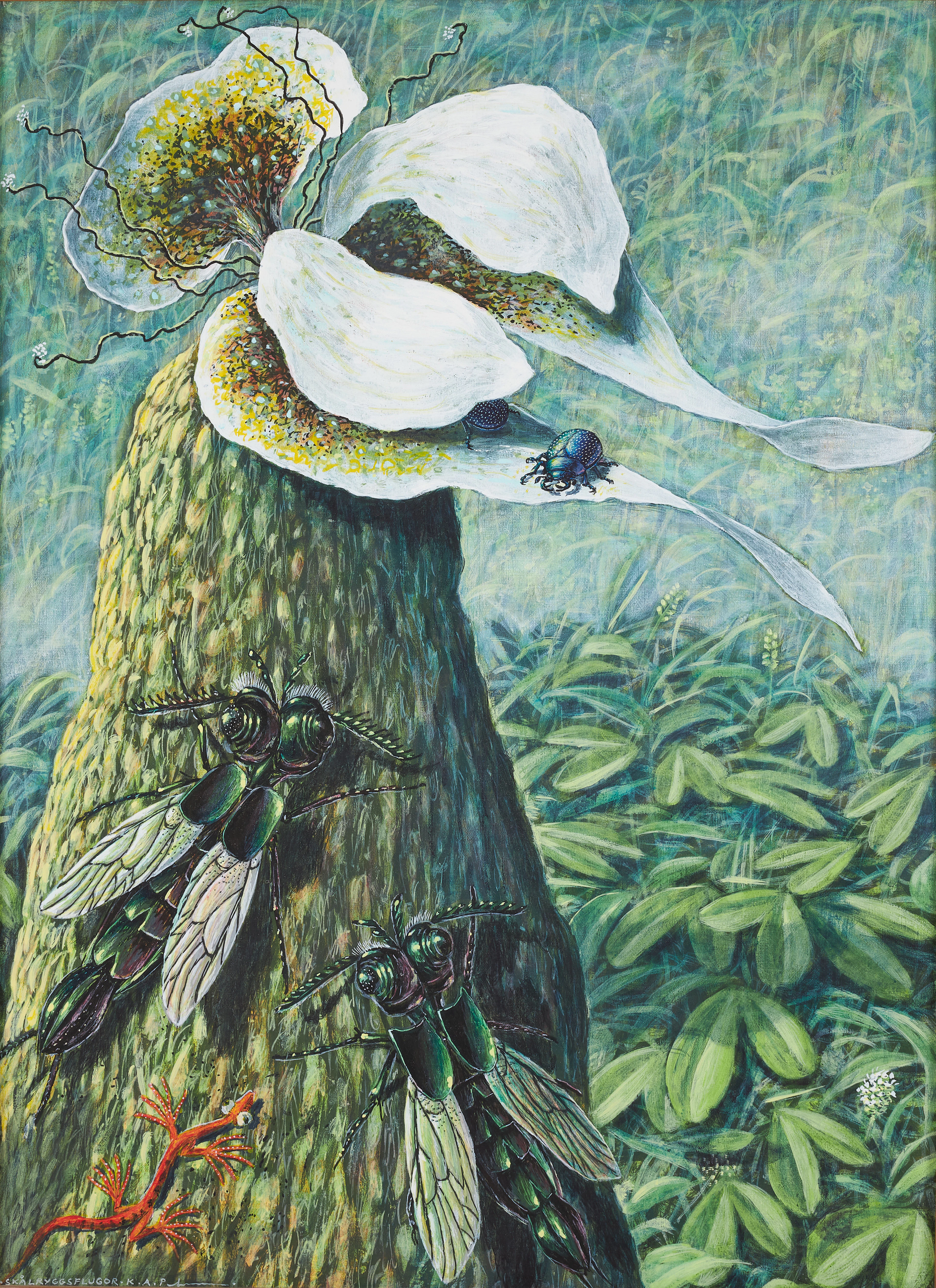KARL AXEL PEHRSON. "Skålryggsflugor".