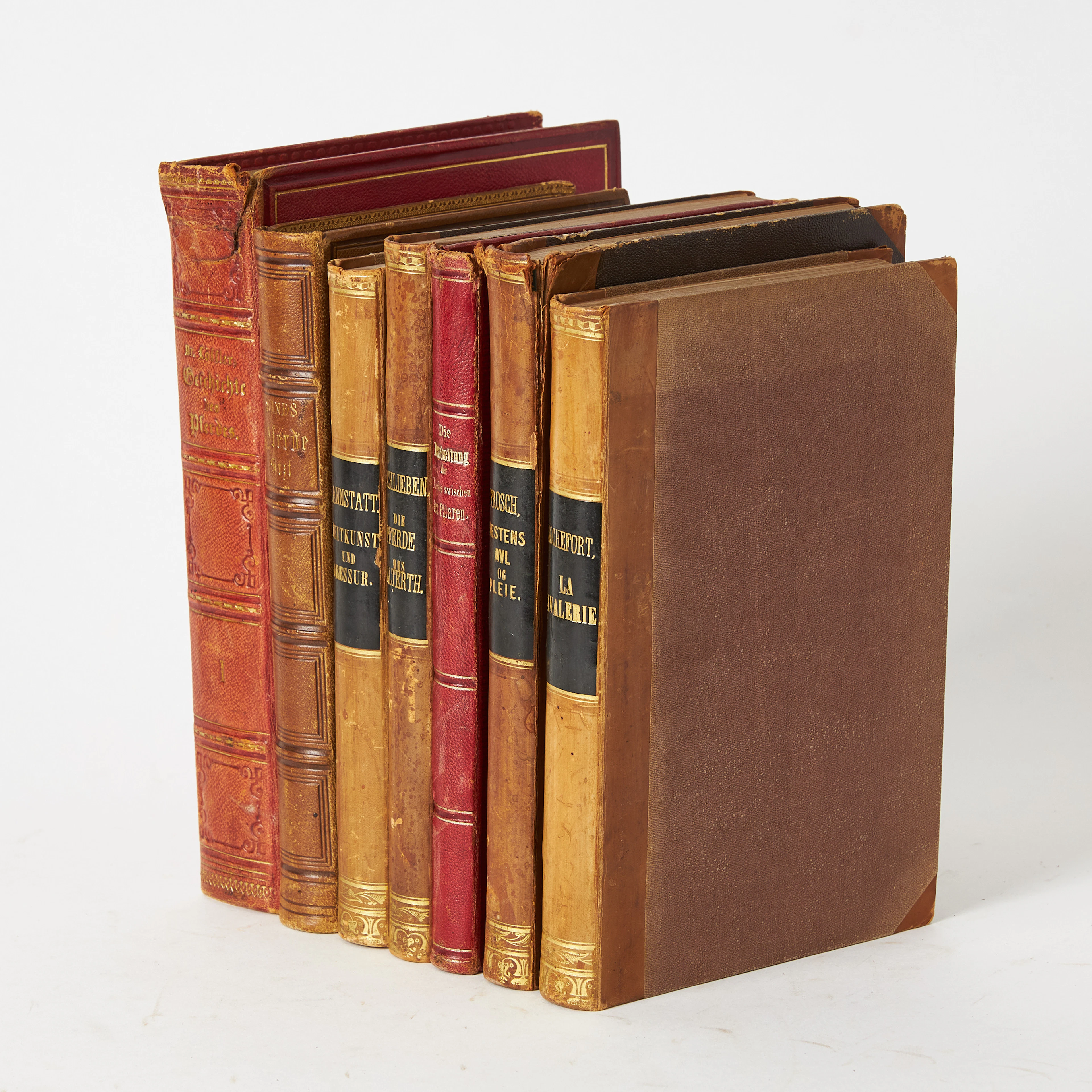 HIPPOLOGY, 7 volumes, 19th century, Sind, Pferde-Arzt, 1852, Geschichte