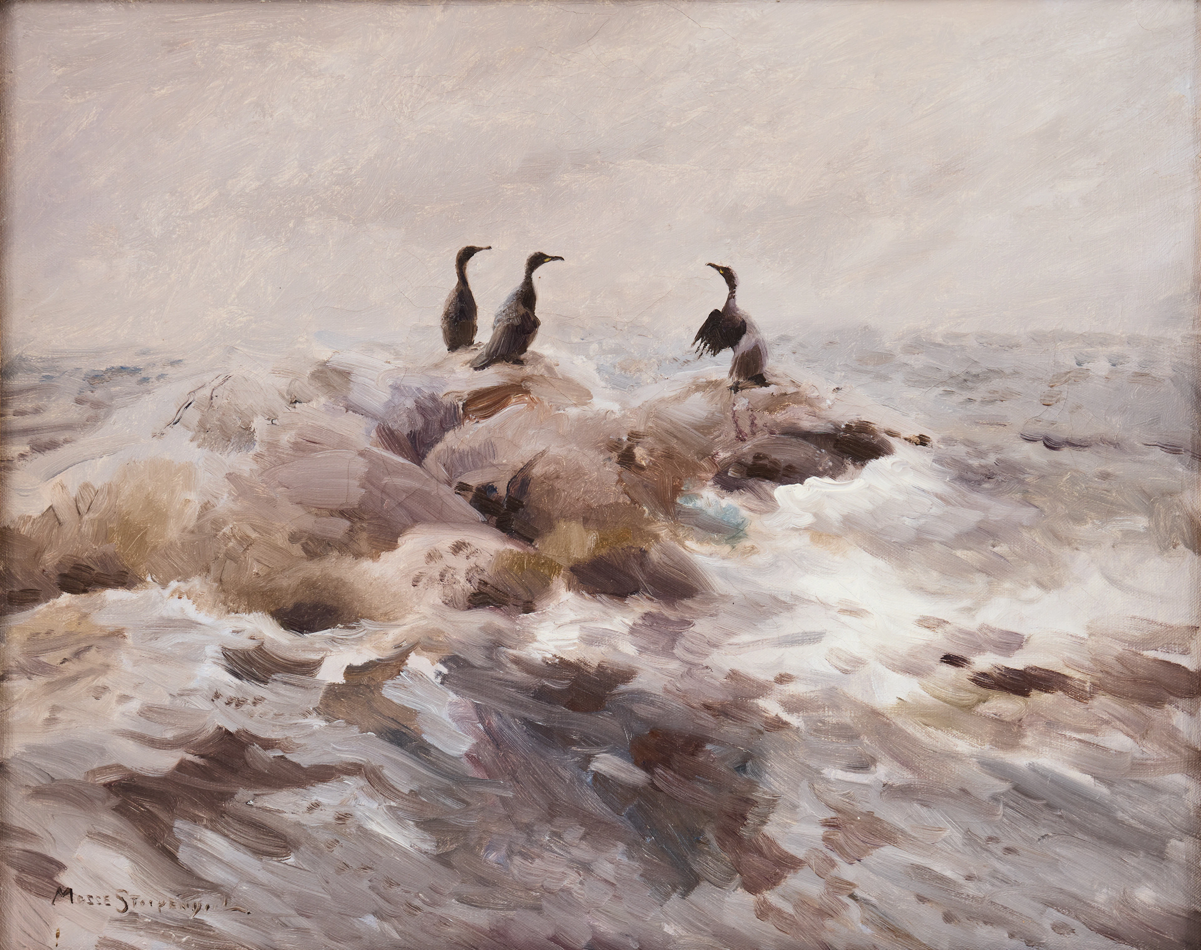 MOSSE STOOPENDAAL. Sjöfåglar på klippa i havet.